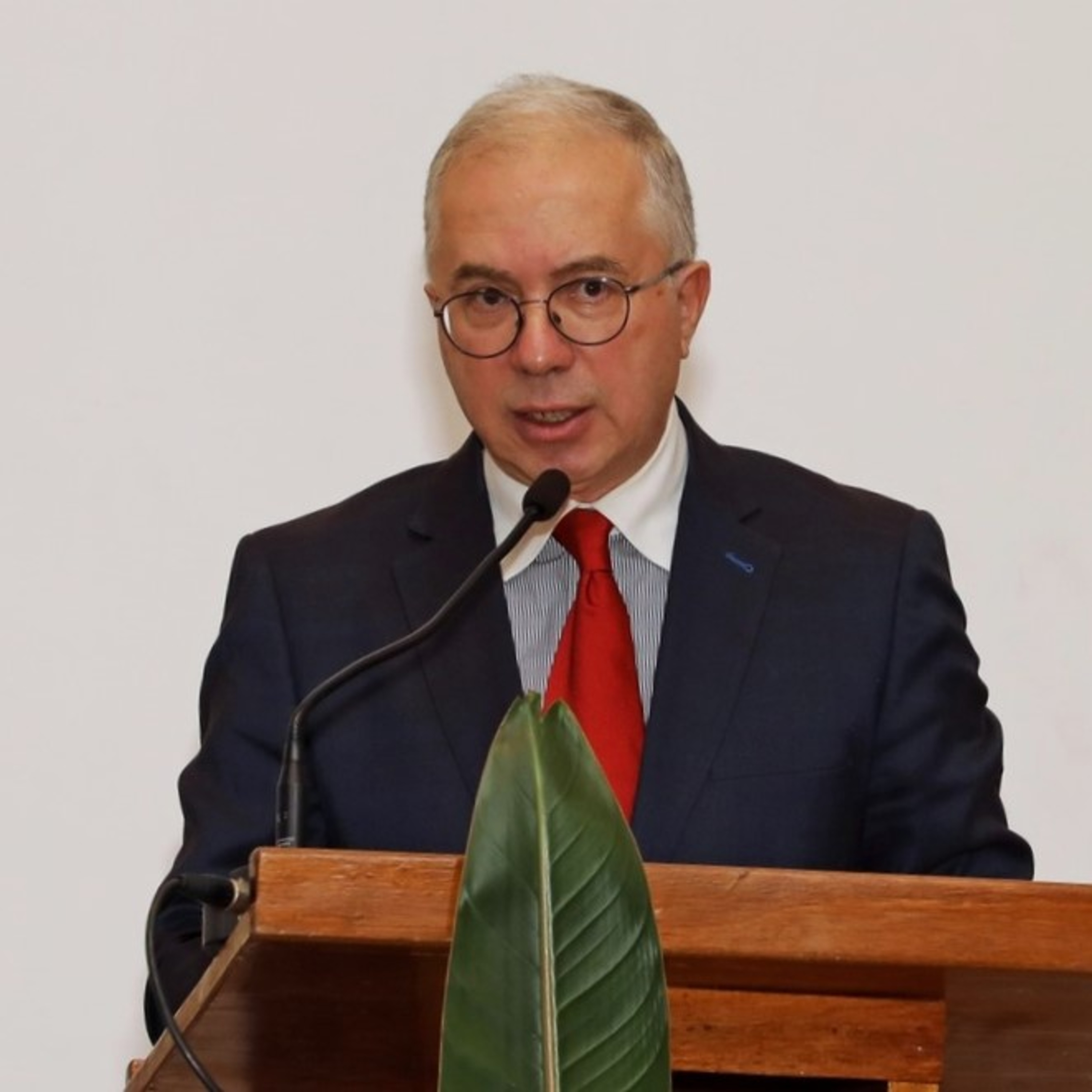 ANOTAÇÕES , por Helder Sequeira