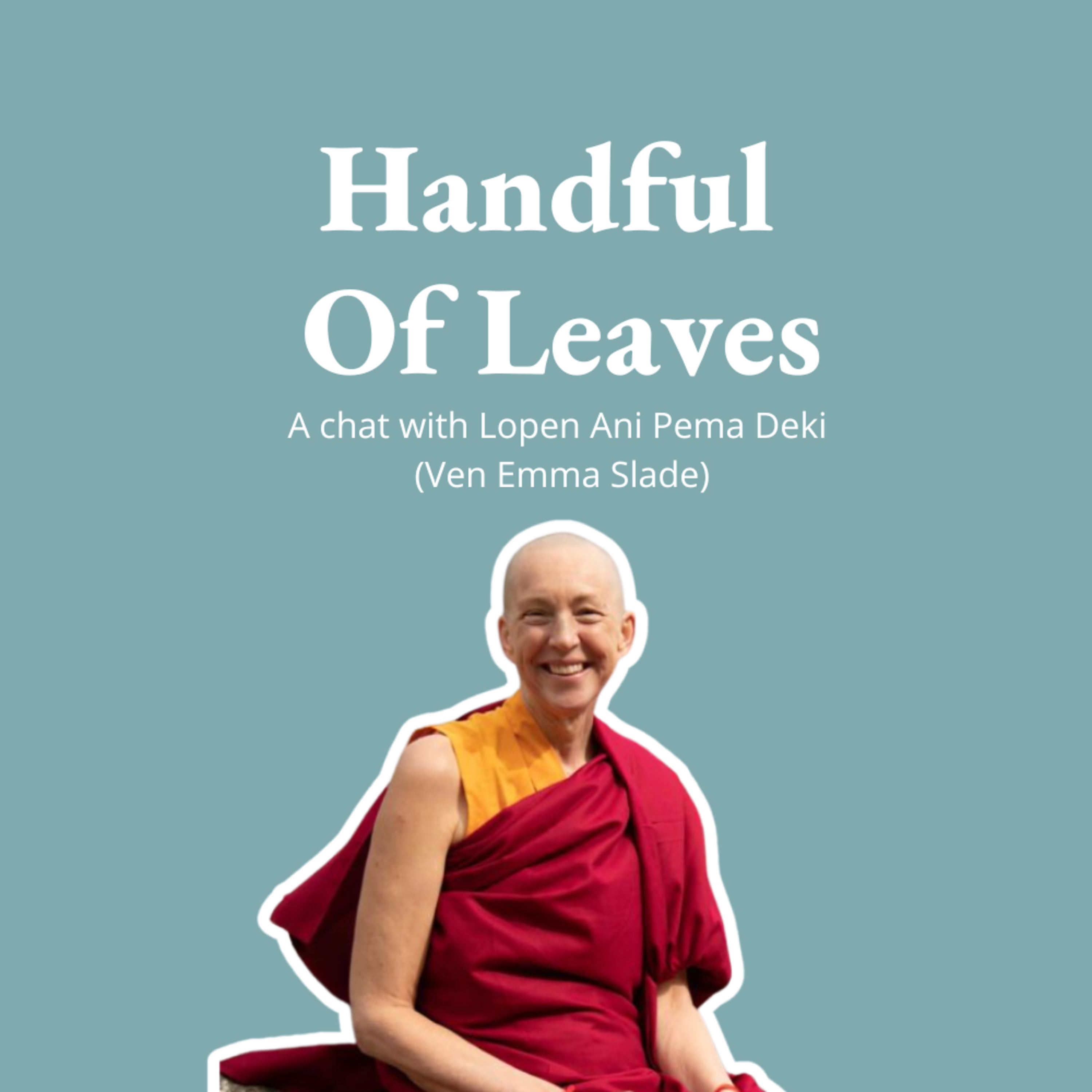 Handful of Leaves | Mindfulness & Buddhism in Everyday Life