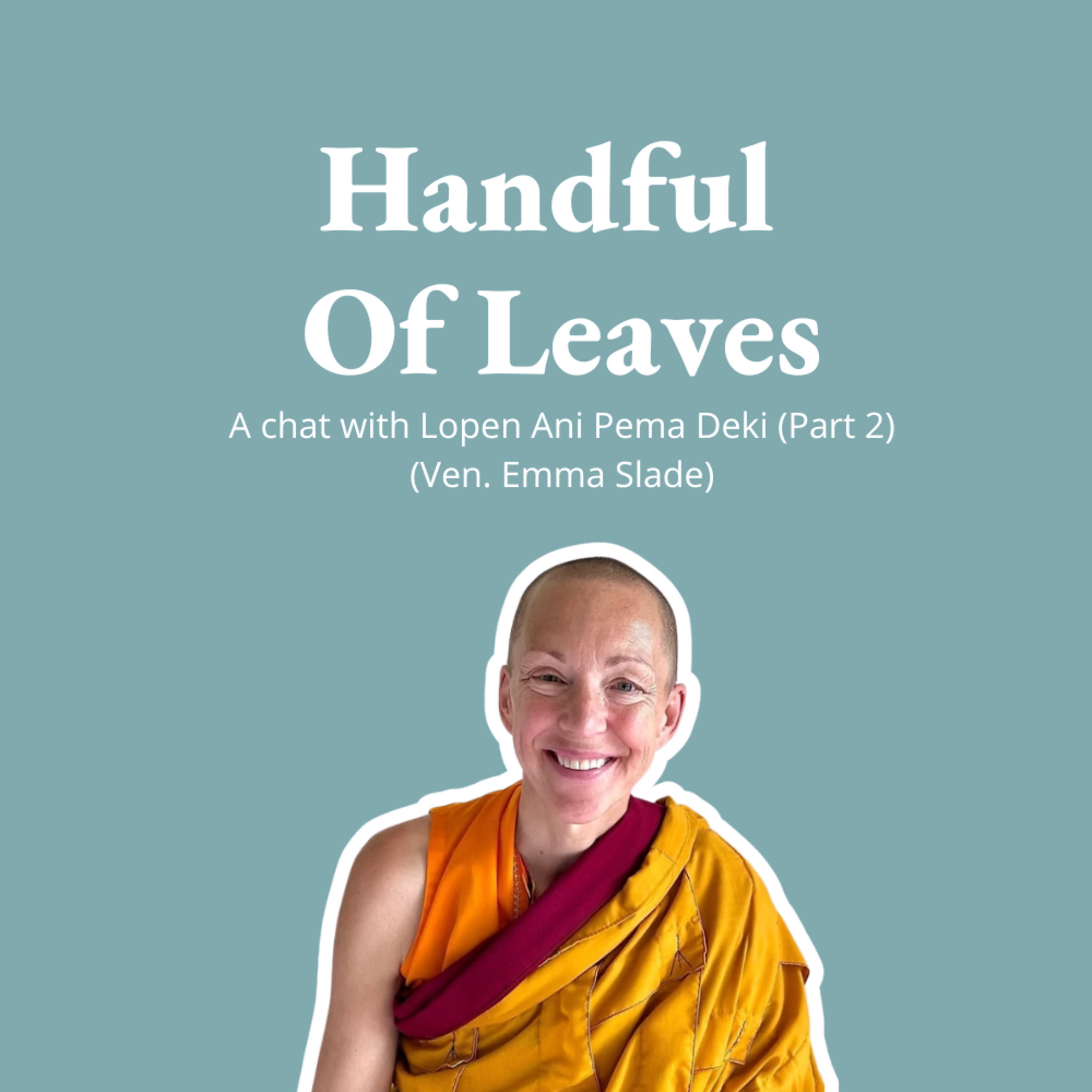 Handful of Leaves | Mindfulness & Buddhism in Everyday Life