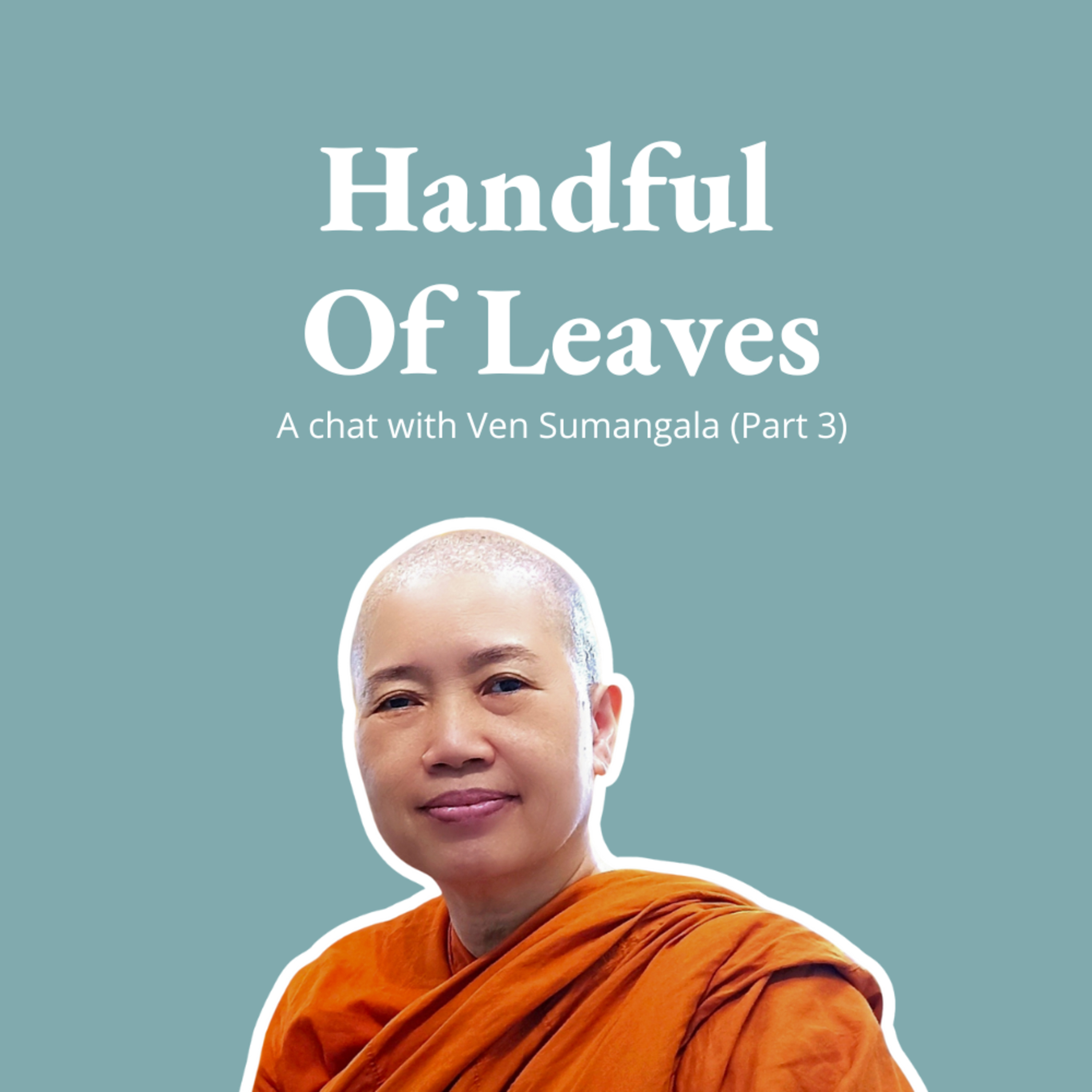 Handful of Leaves | Mindfulness & Buddhism in Everyday Life