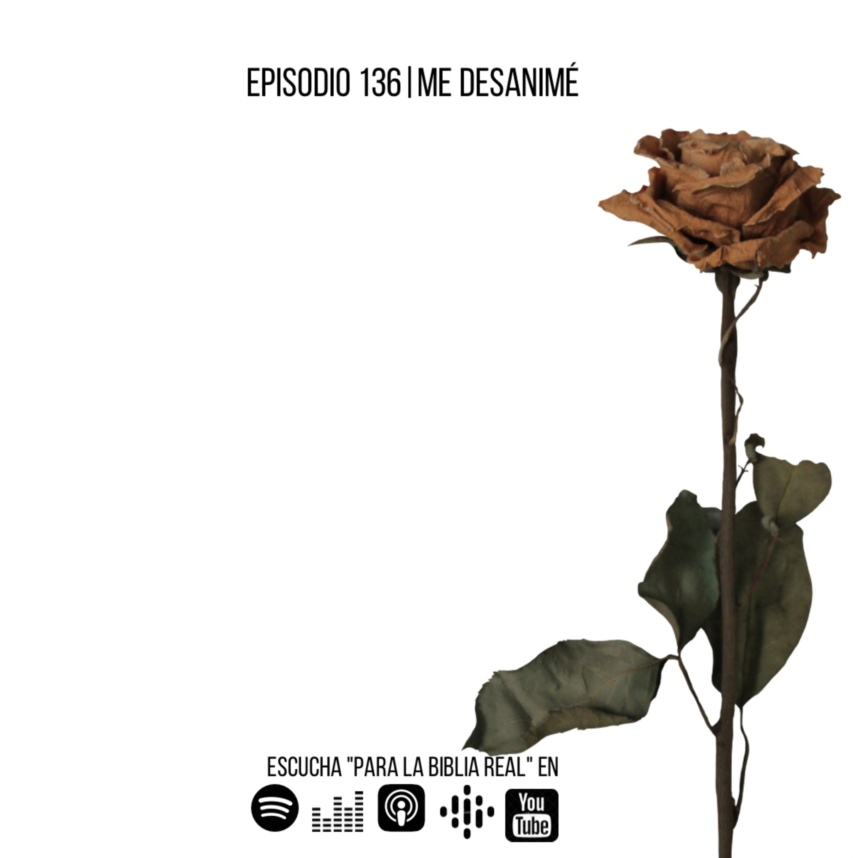 136. Me desanimé