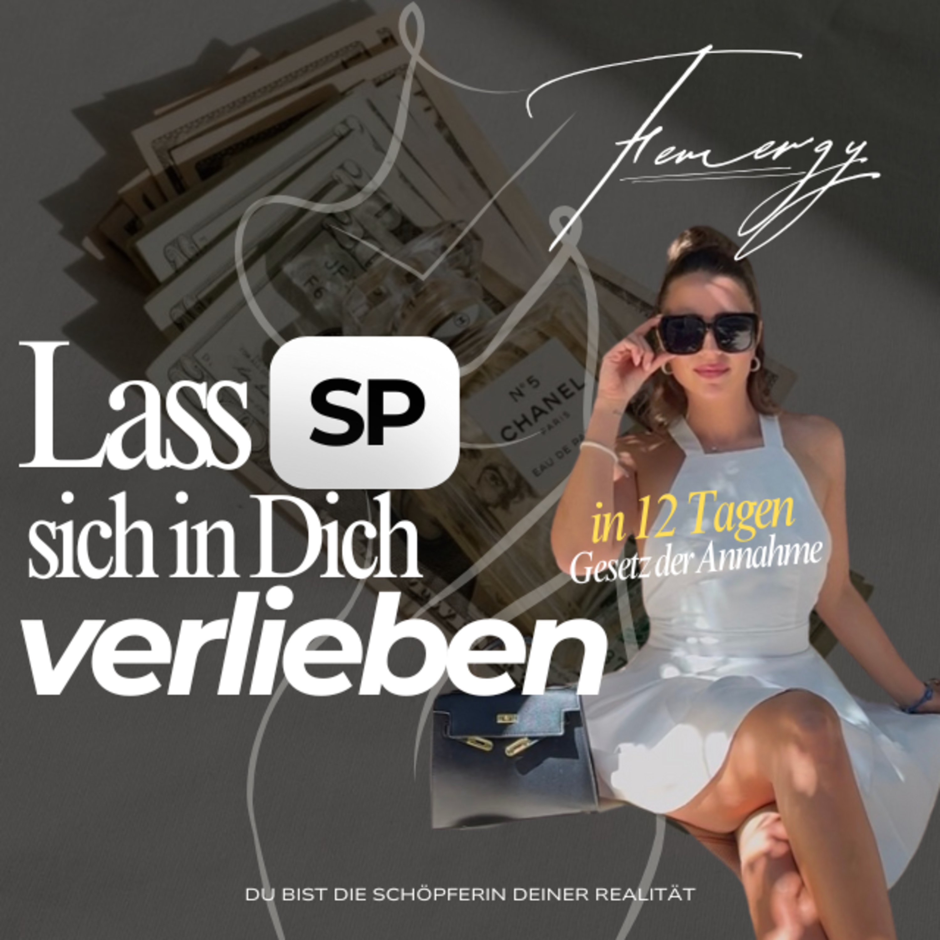 Lass SP sich in Dich verlieben (innerhalb von 12 TAGEN) / Gesetz der Annahme 😱❤️‍🔥 episode artwork