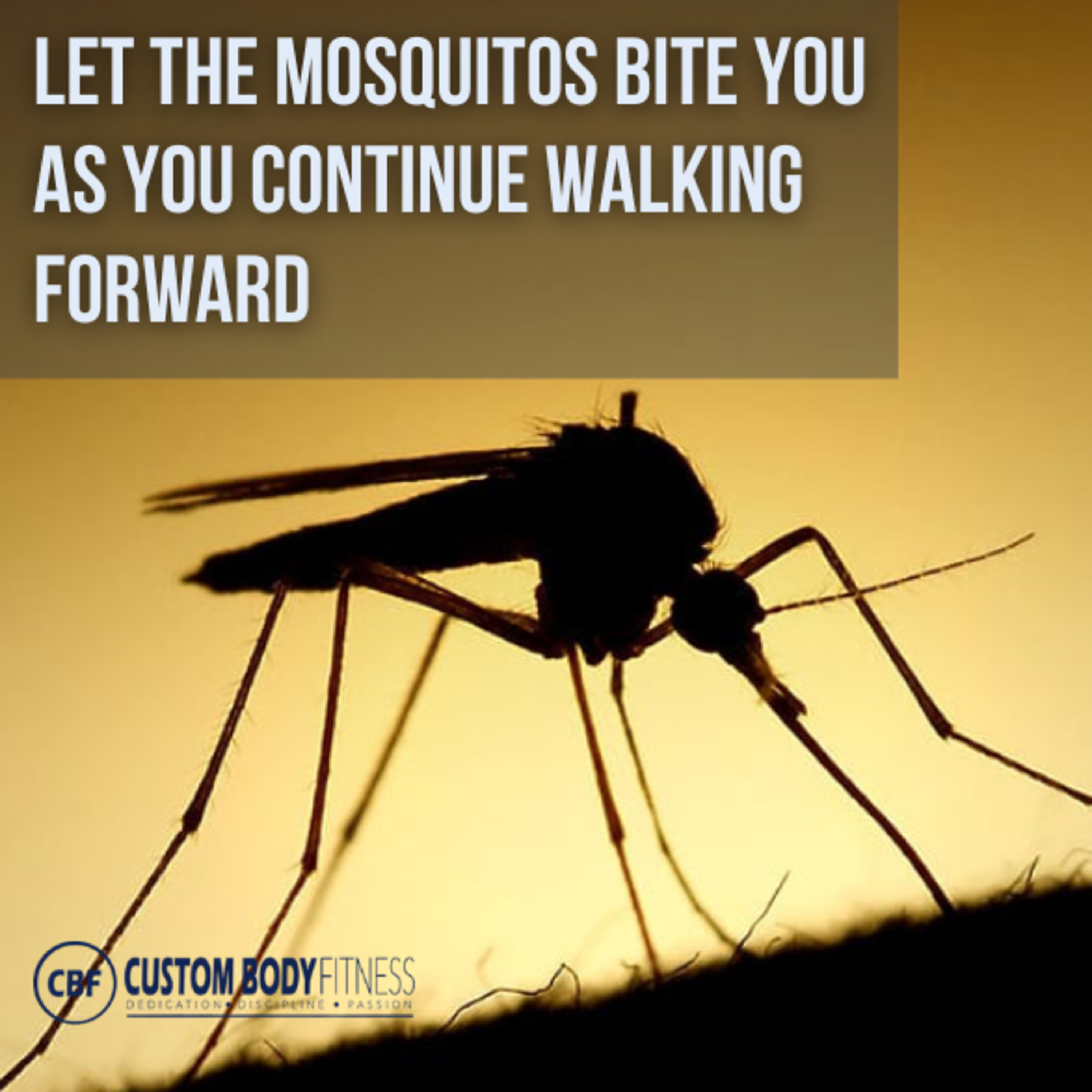 Episode #166: 5 Behaviors to Progress in Life and to Stay Fit episode artwork
