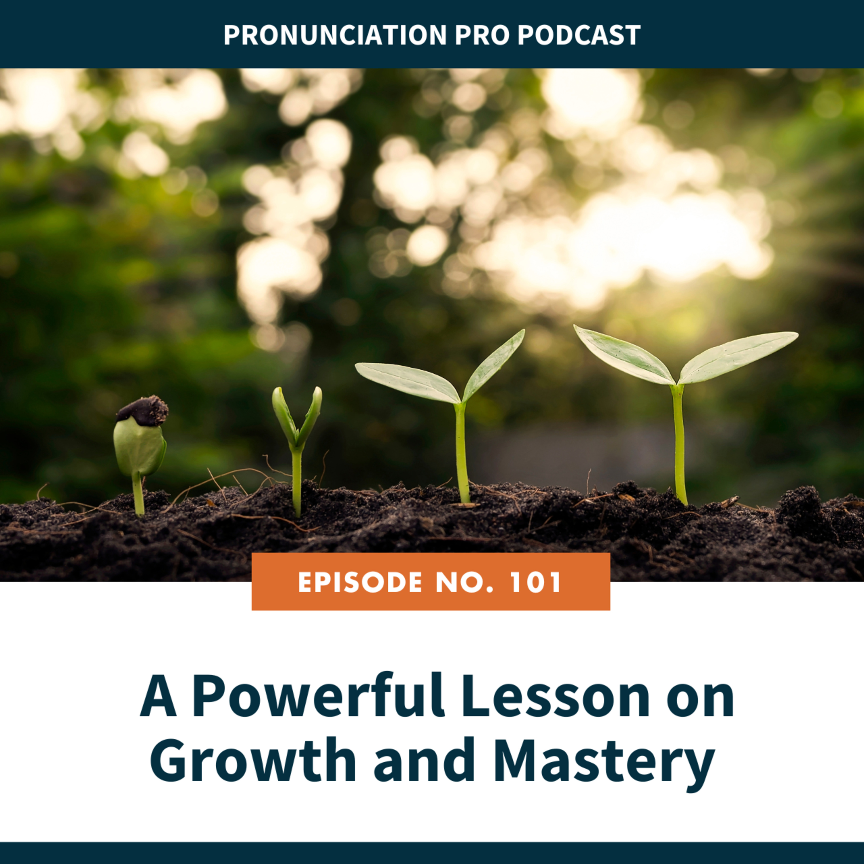 Pronunciation Pro
