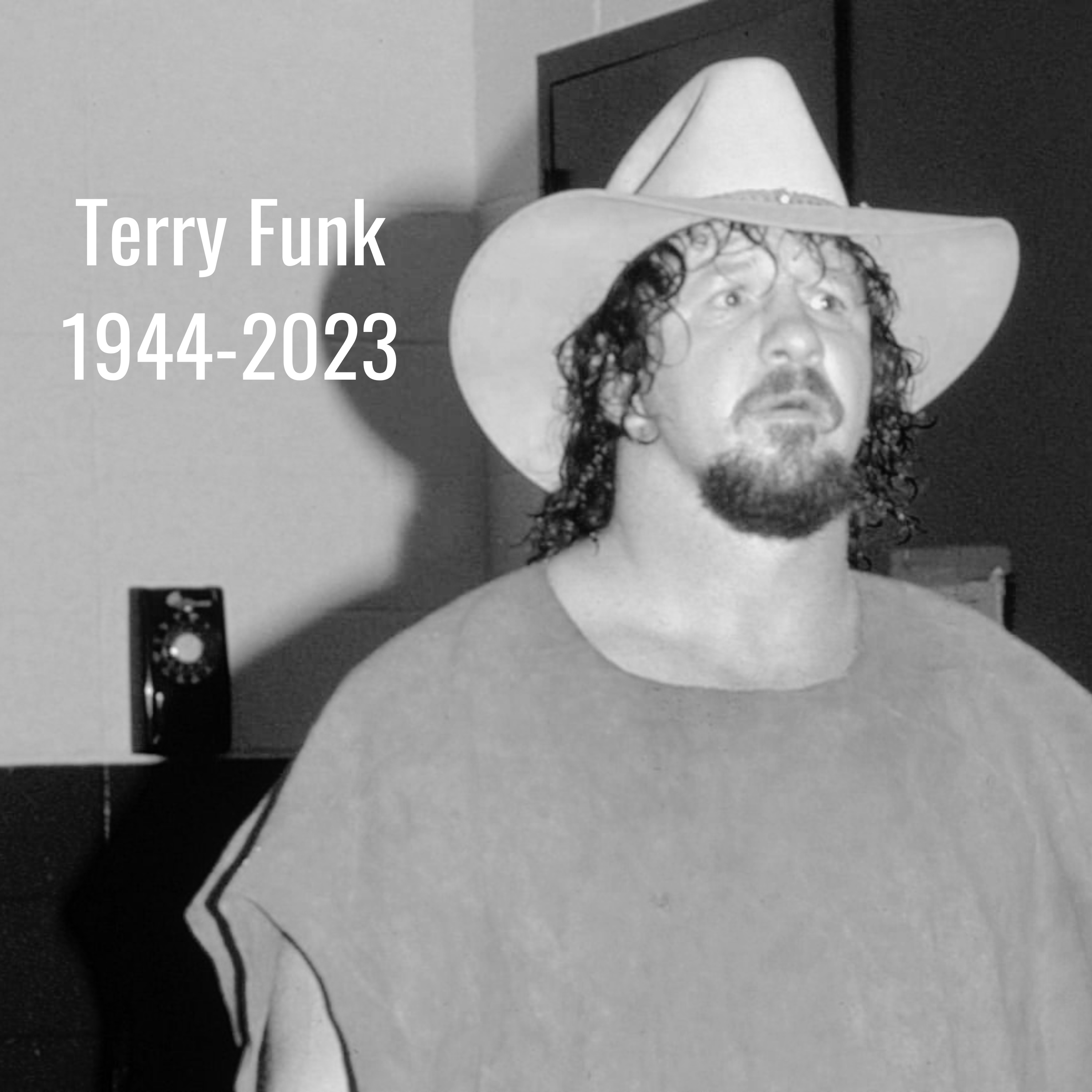 Terry Funk Tribute episode artwork