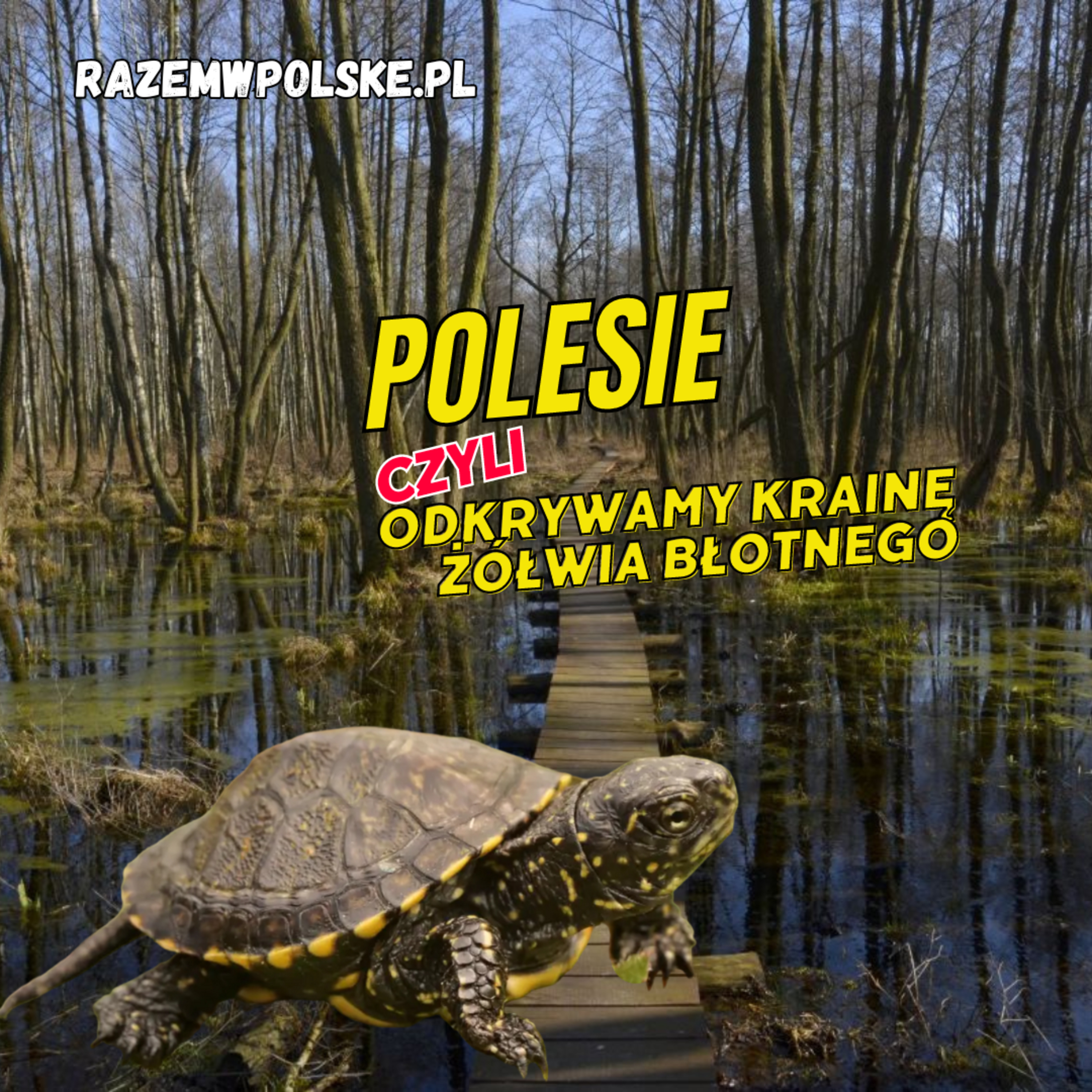 #118 Polesie, co warto zobaczyć na Lubelszczyźnie. Okuninka i najbliższe atrakcje turystyczne episode artwork