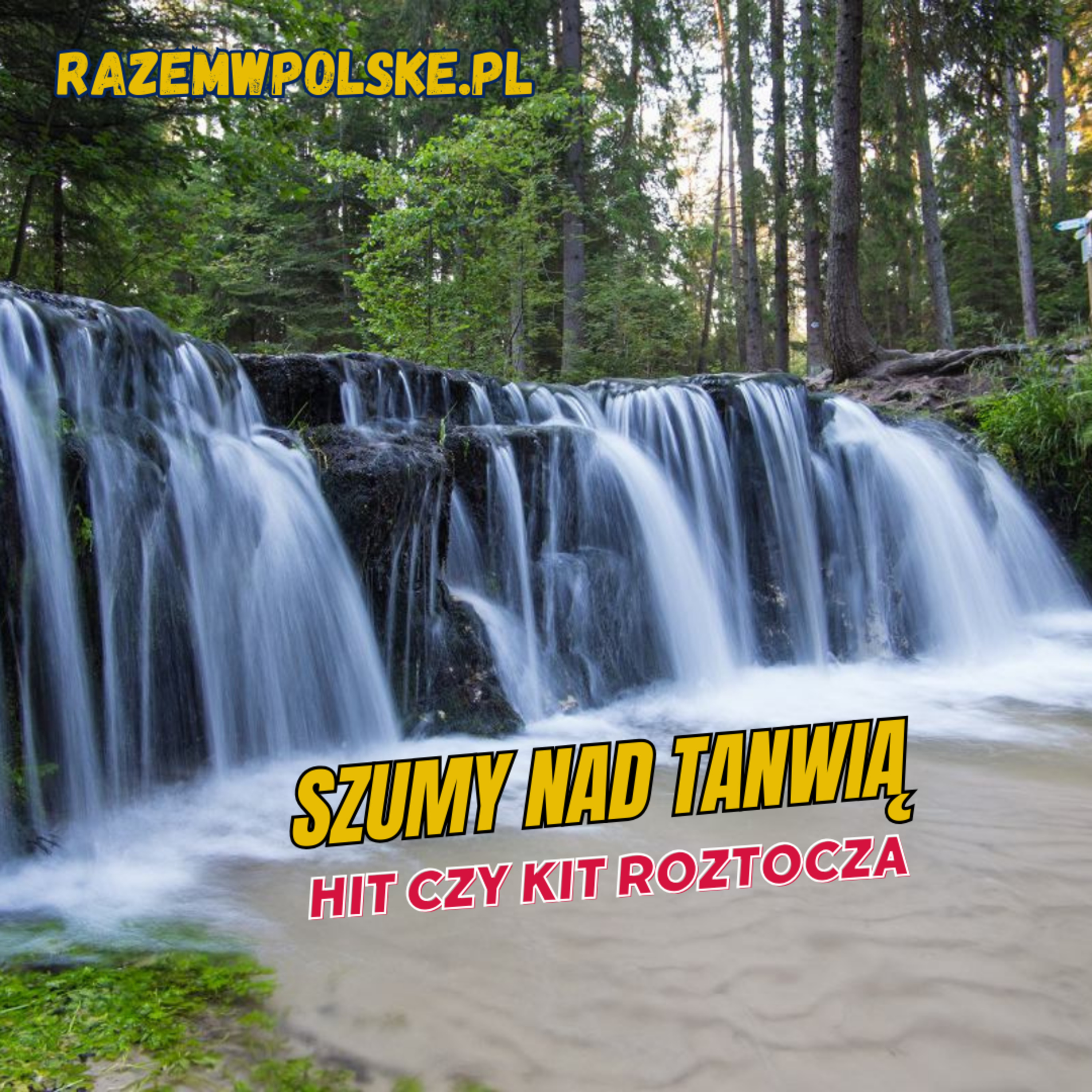 #133 Rezerwat Szumy nad Tanwią. Najpiękniejsze miejsce na Roztoczu? Czy warto tam się wybrać? episode artwork