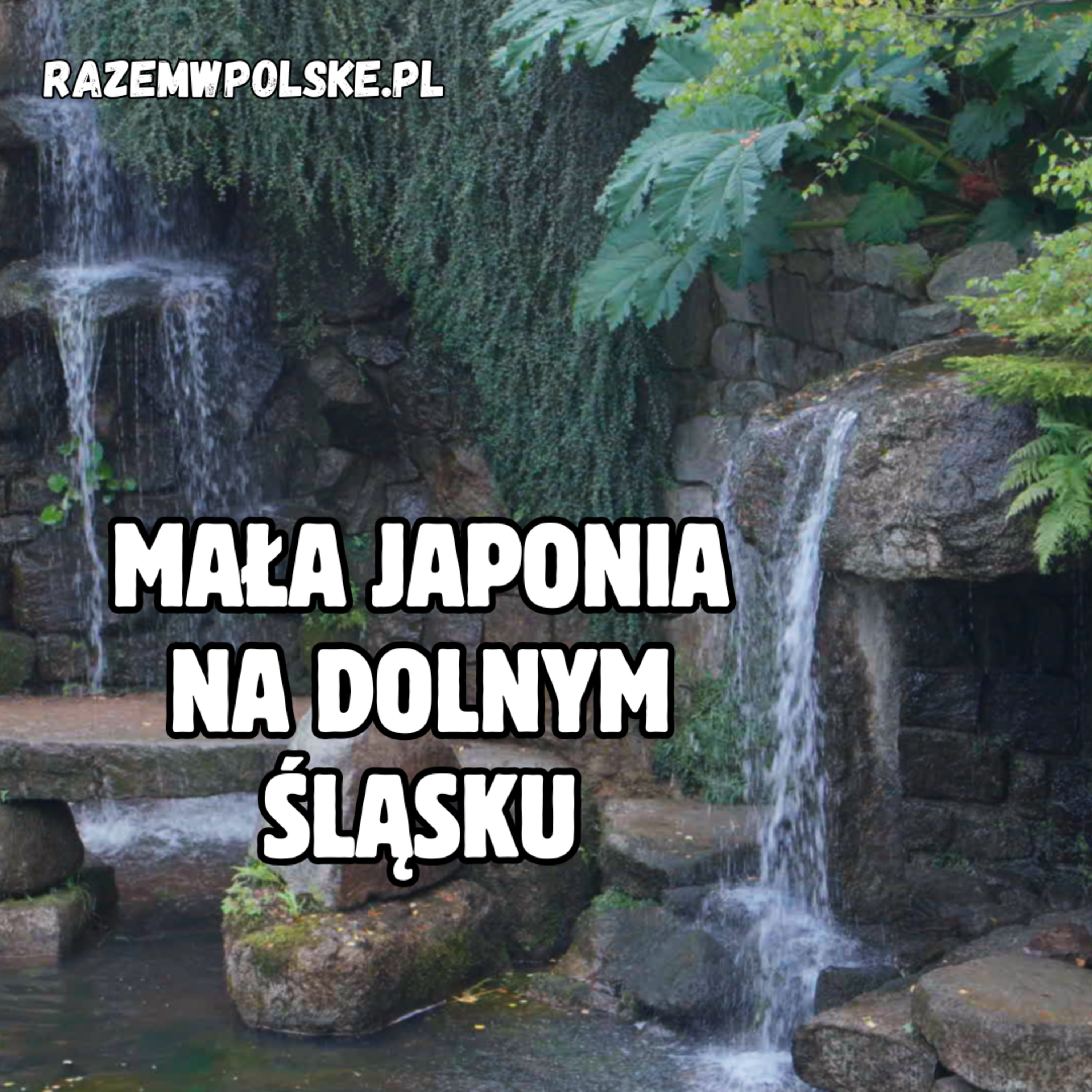 Najpiękniejszy Ogród Japoński w Polsce? Siruwia – Mała Japonia w Karkonoszach episode artwork