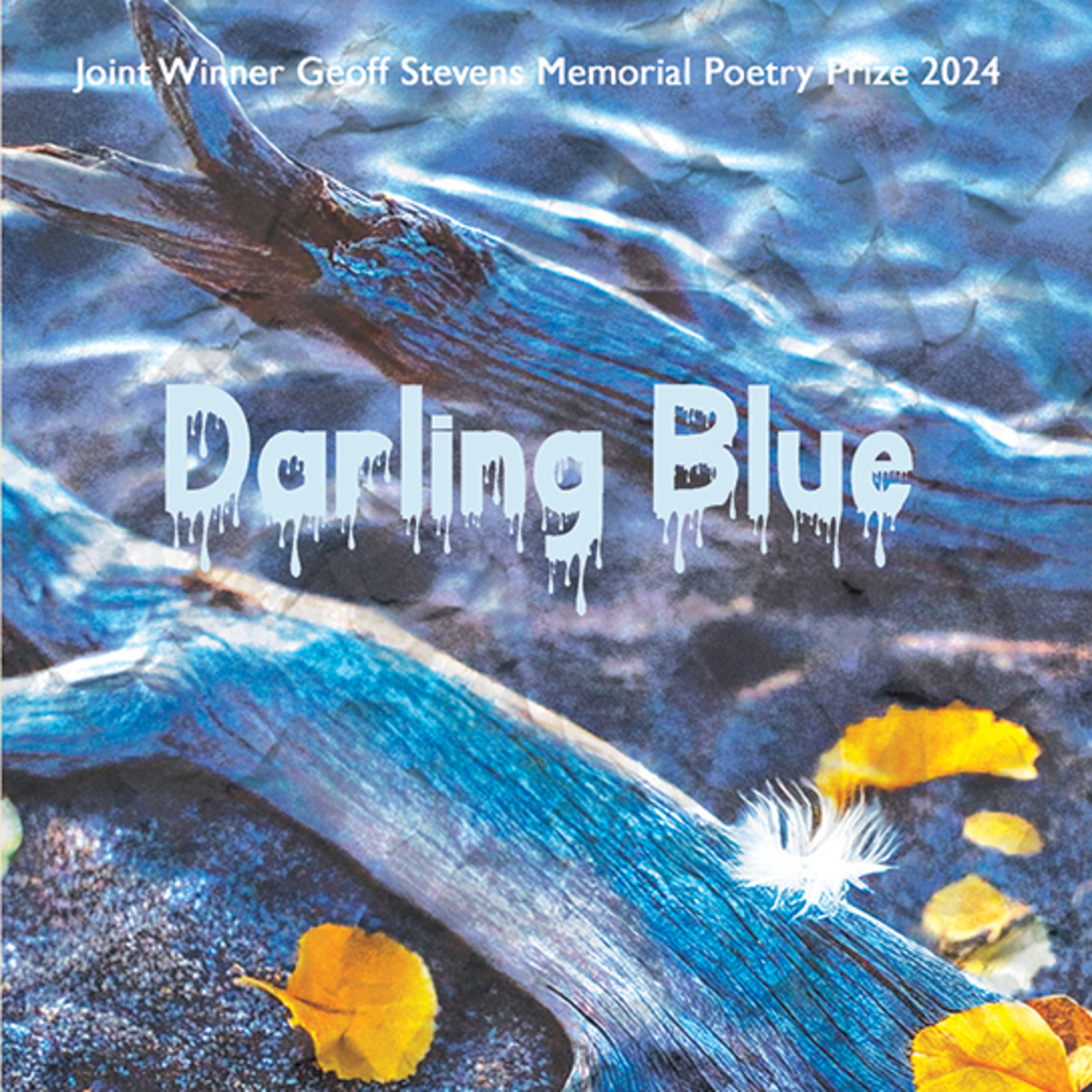 Sarah James (also known as Sarah Leavesley - Spoken Label, January 2026)