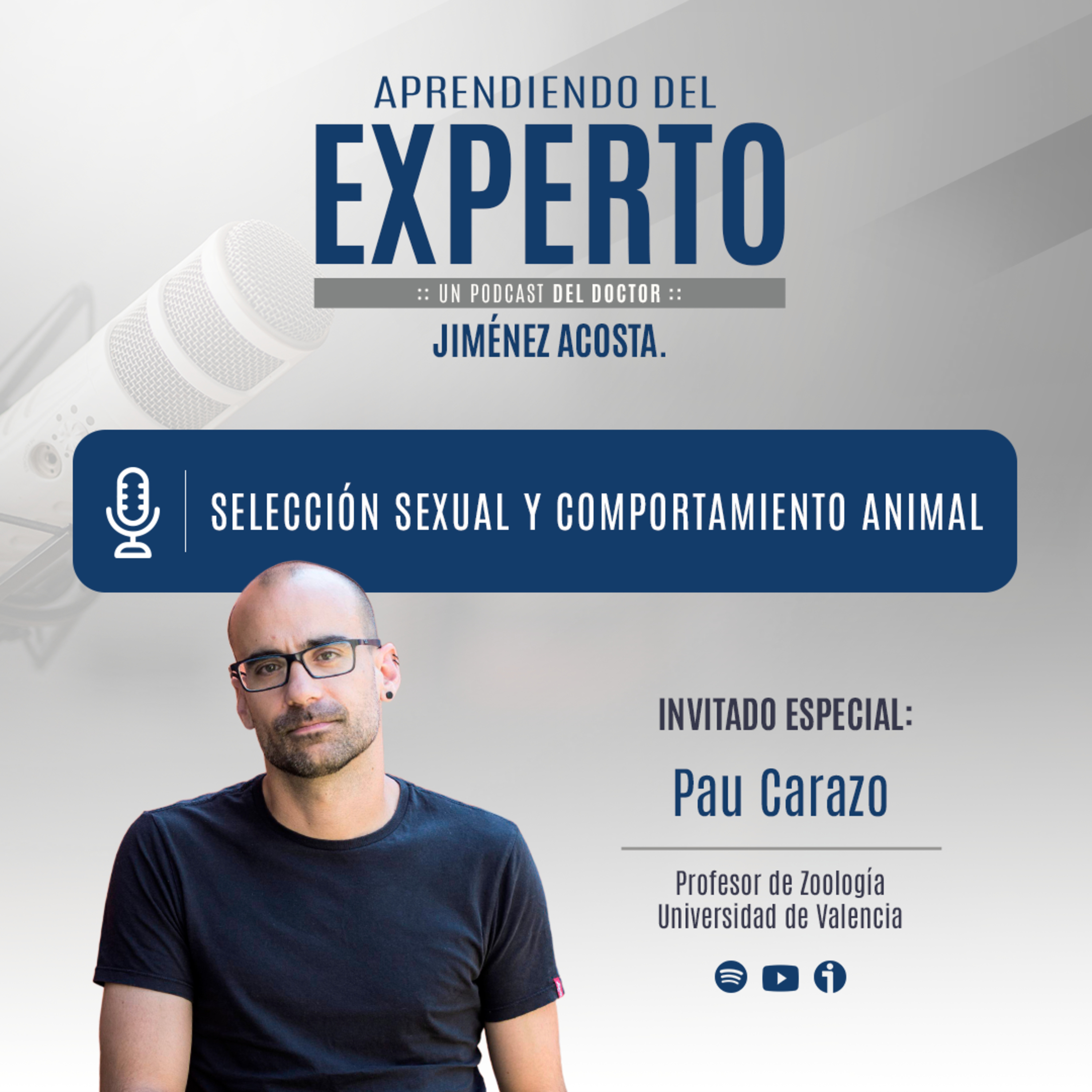 Aprendiendo del Experto