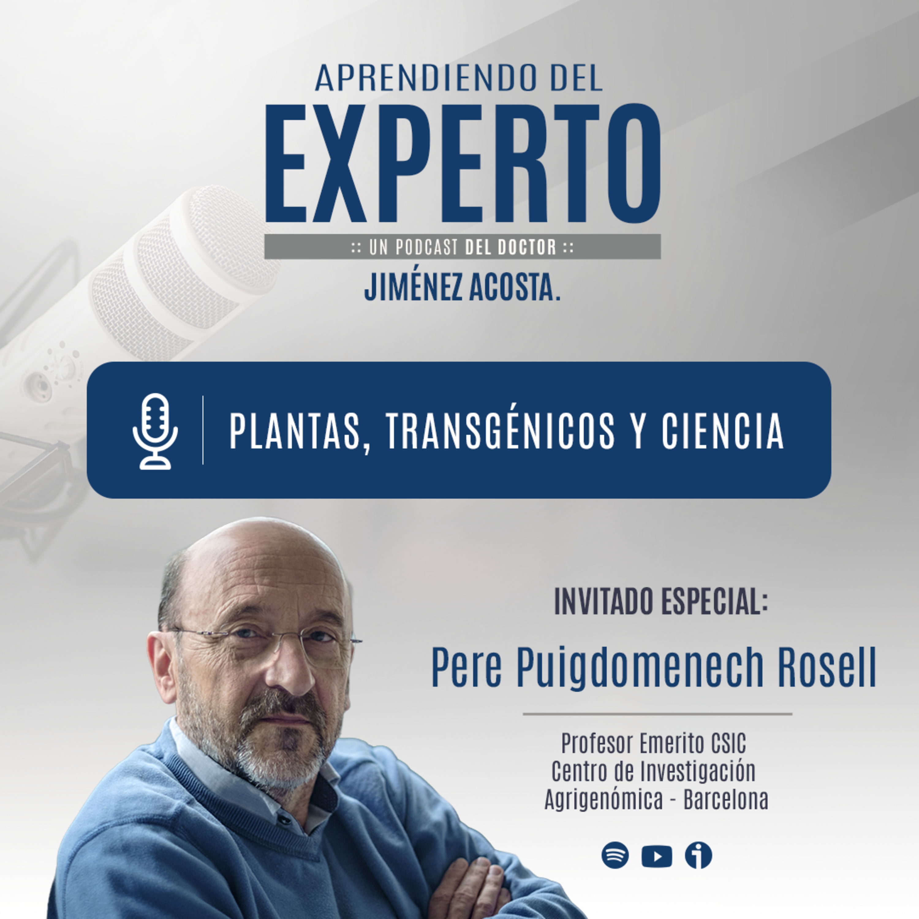 Aprendiendo del Experto