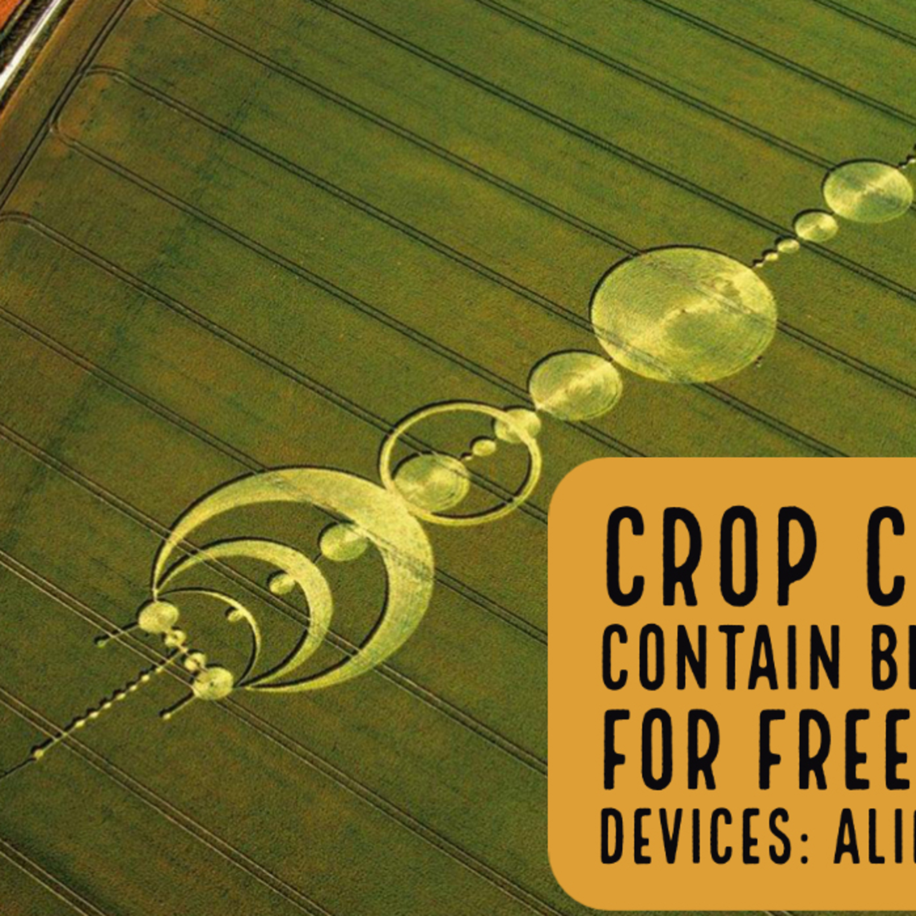Alien Message or Hoax? Decoding the Hidden Messages in Crop Circles