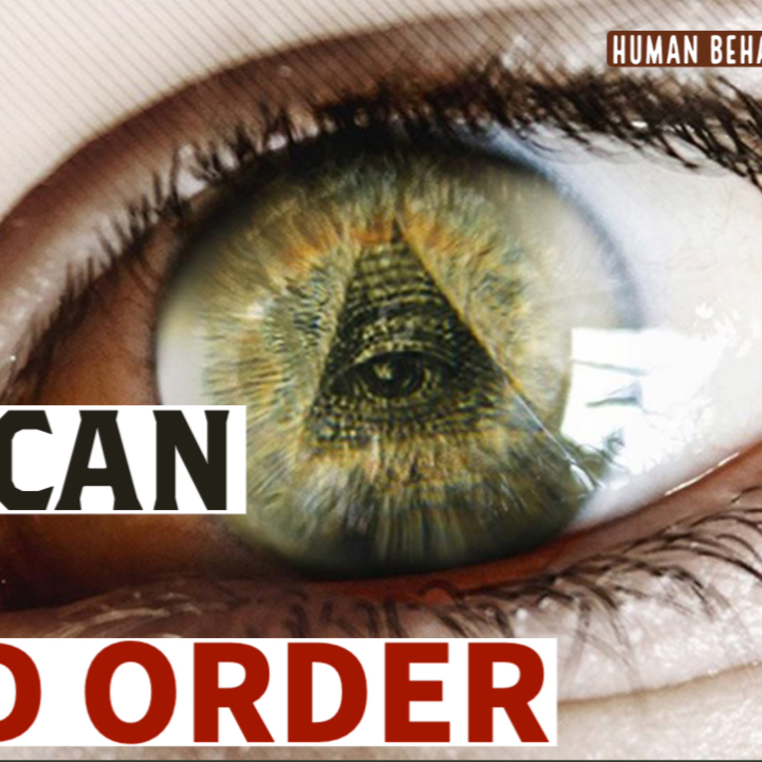 THE AMERICAN NEW WORLD ORDER