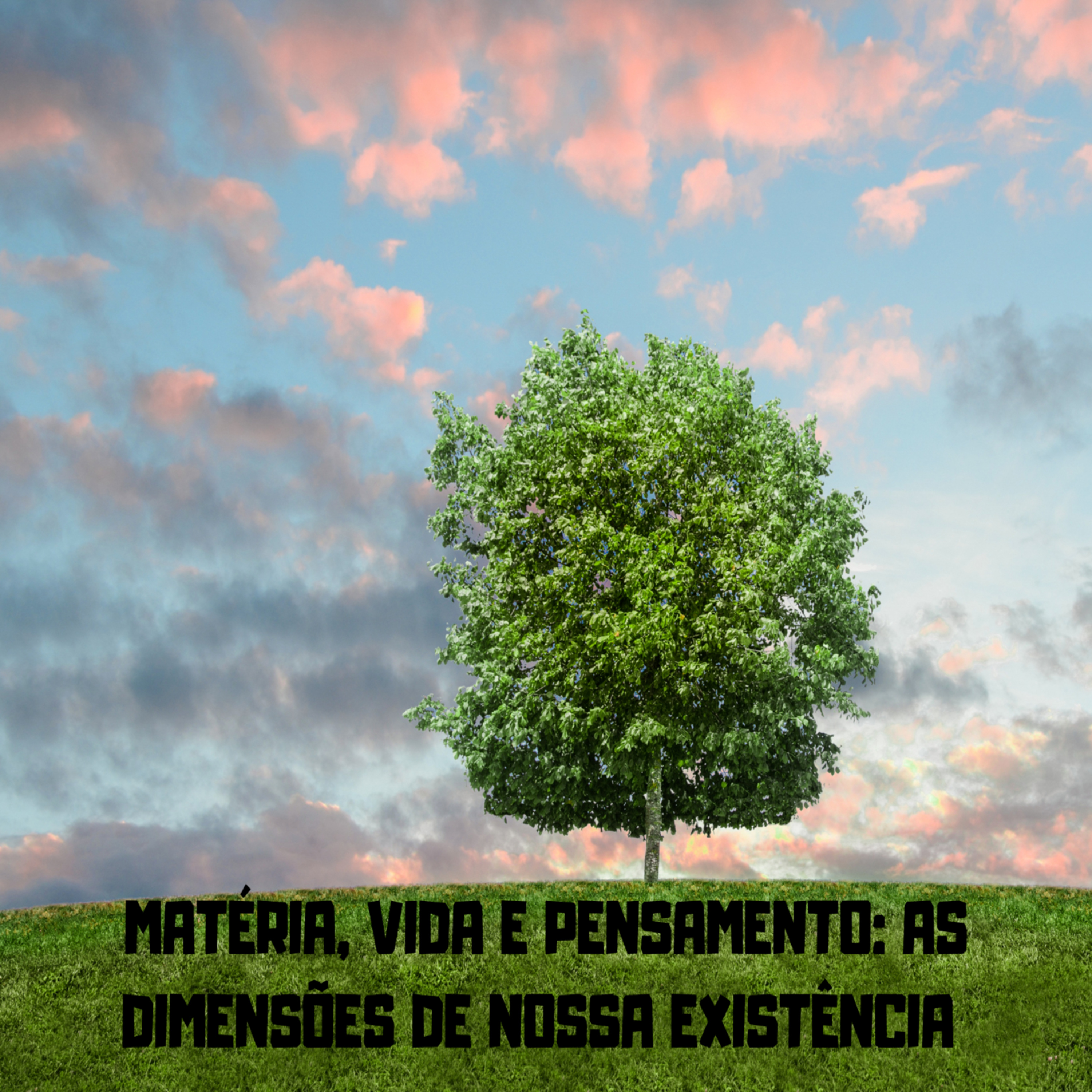 Matéria, Vida e Pensamento: As Dimensões de Nossa Existência episode artwork