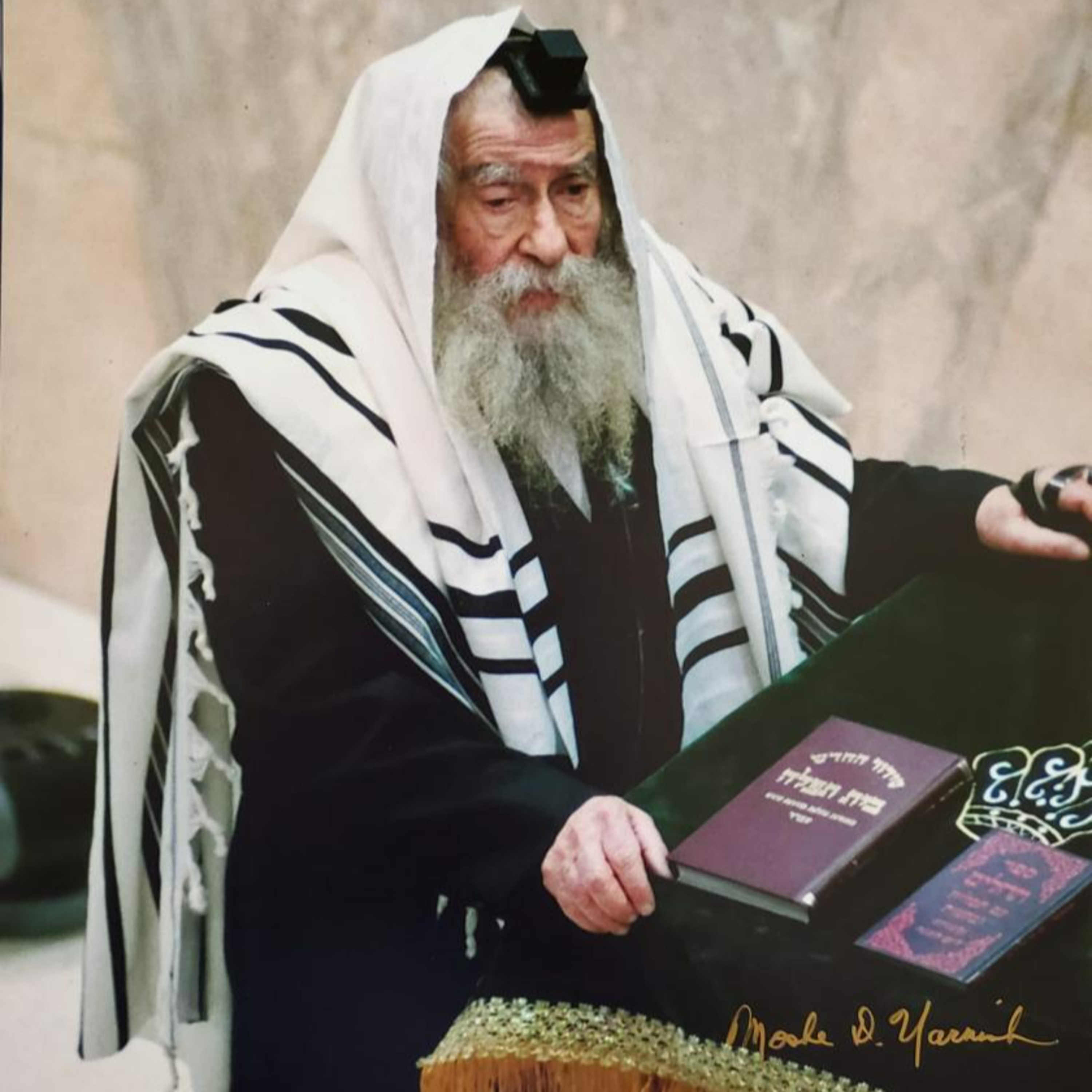 Pnei Menachem - טז אדר episode artwork