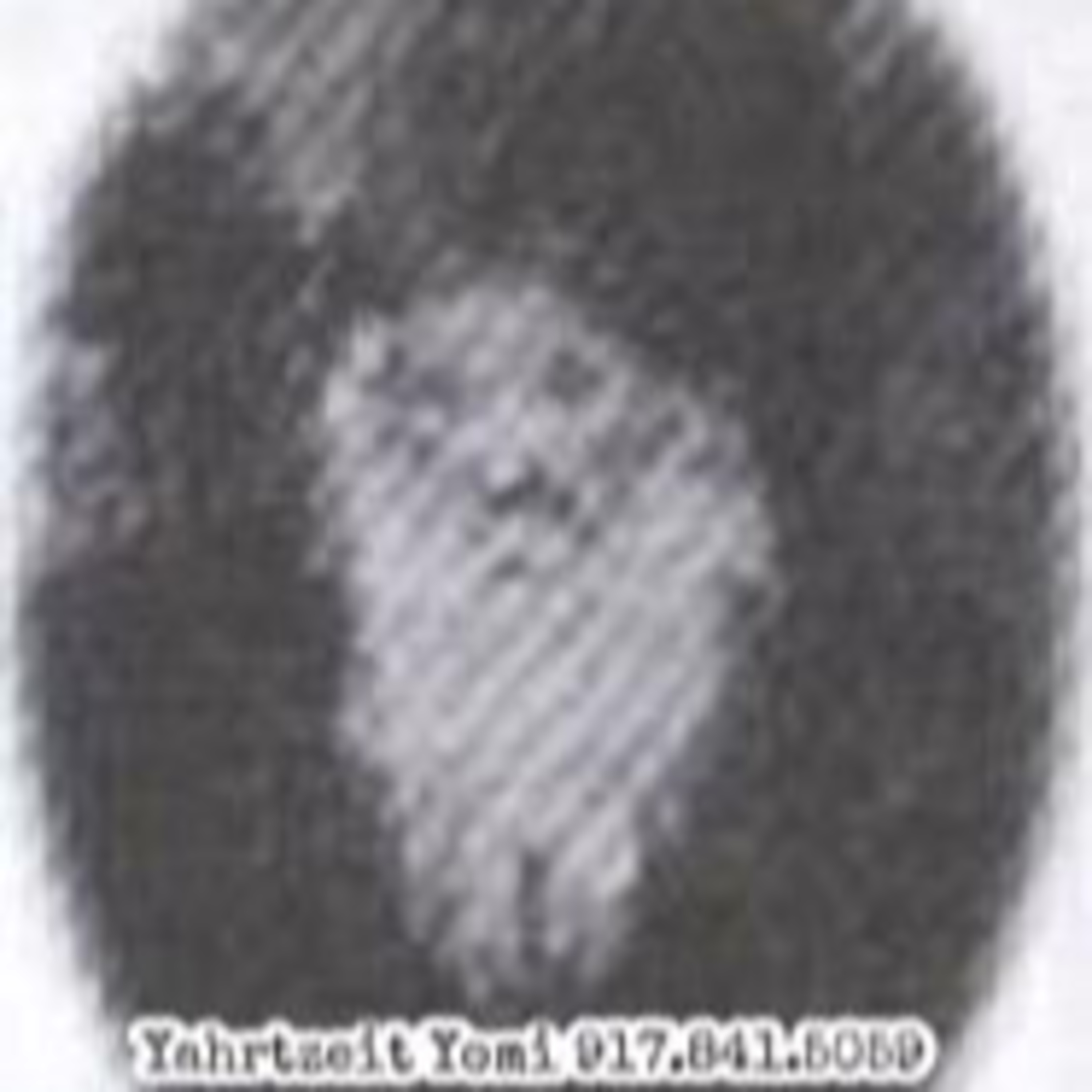 First Bobover Rebbe -  episode artwork