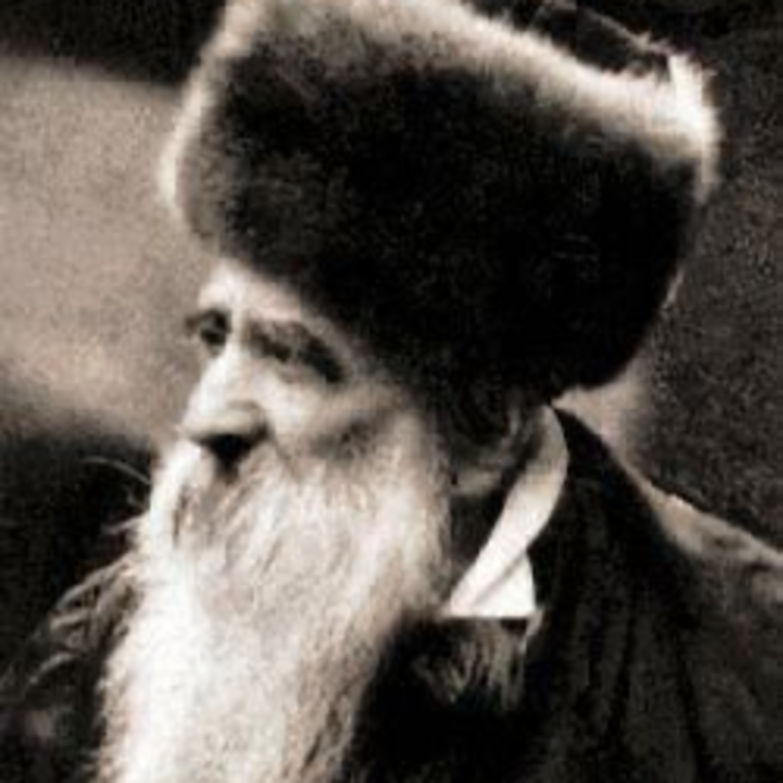 Third Belzer Rebbe - כב חשון episode artwork