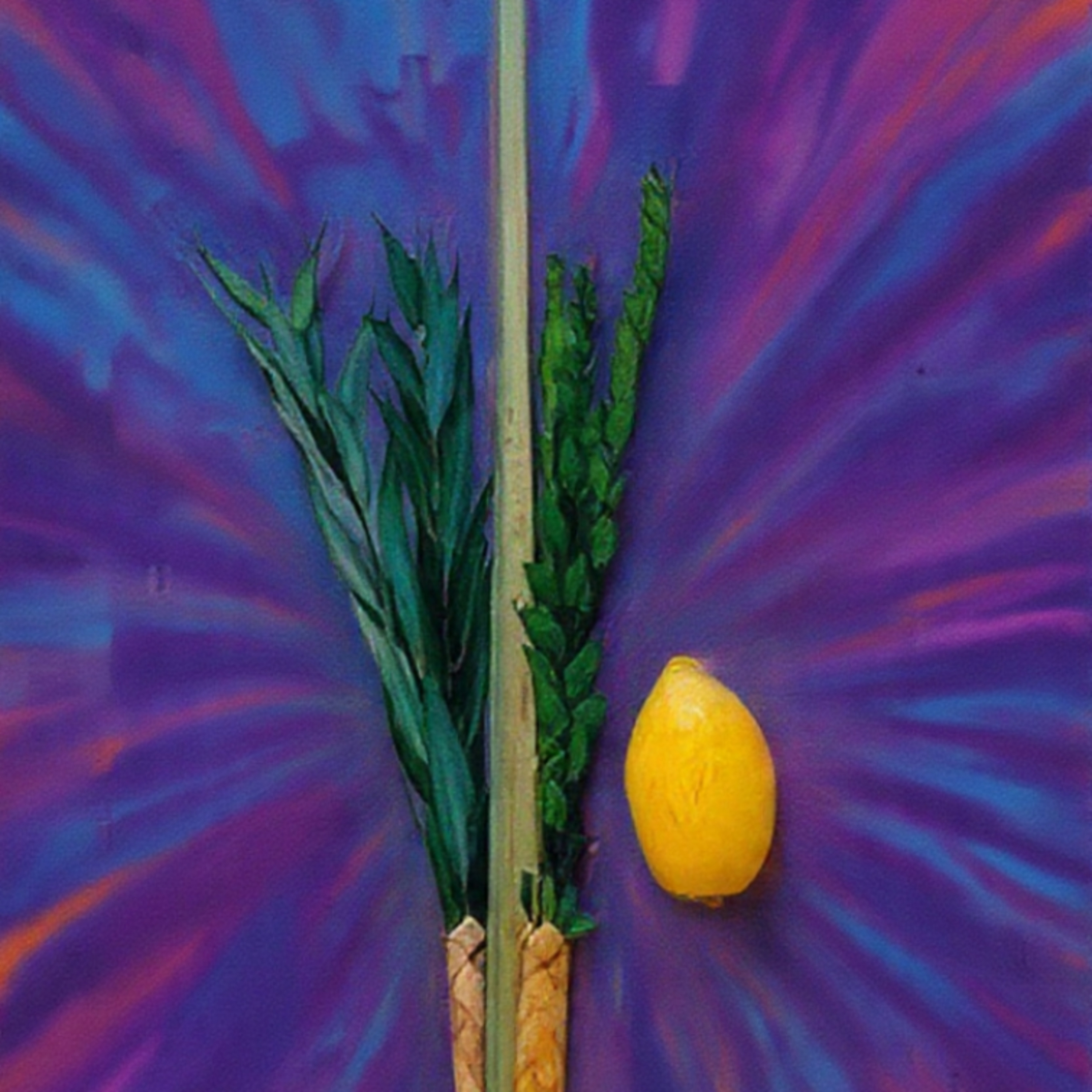 סוכה פרק ג episode artwork