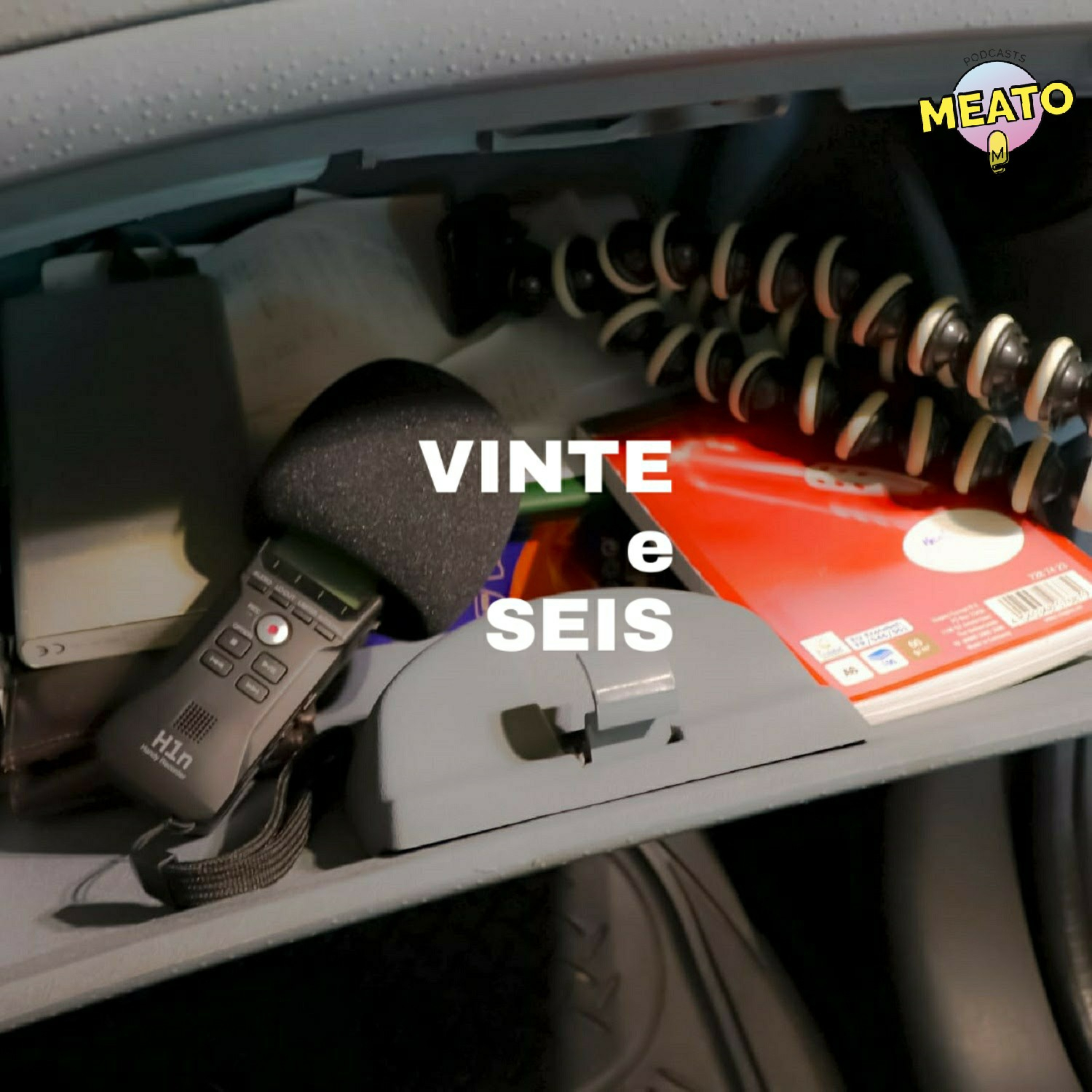 VINTE e SEIS