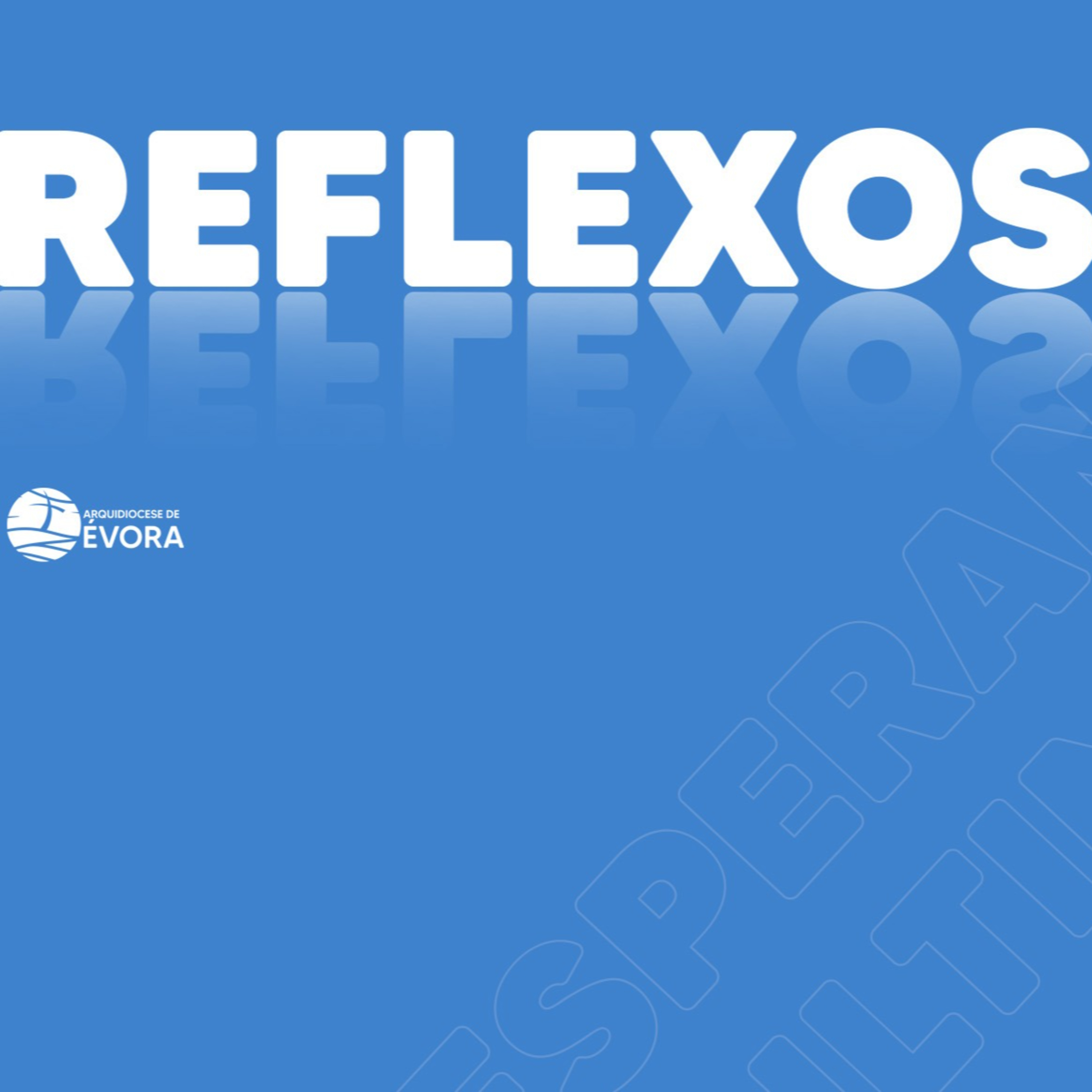 REFLEXOS - 13 de agosto de 2024 - O Amor consiste em factos episode artwork