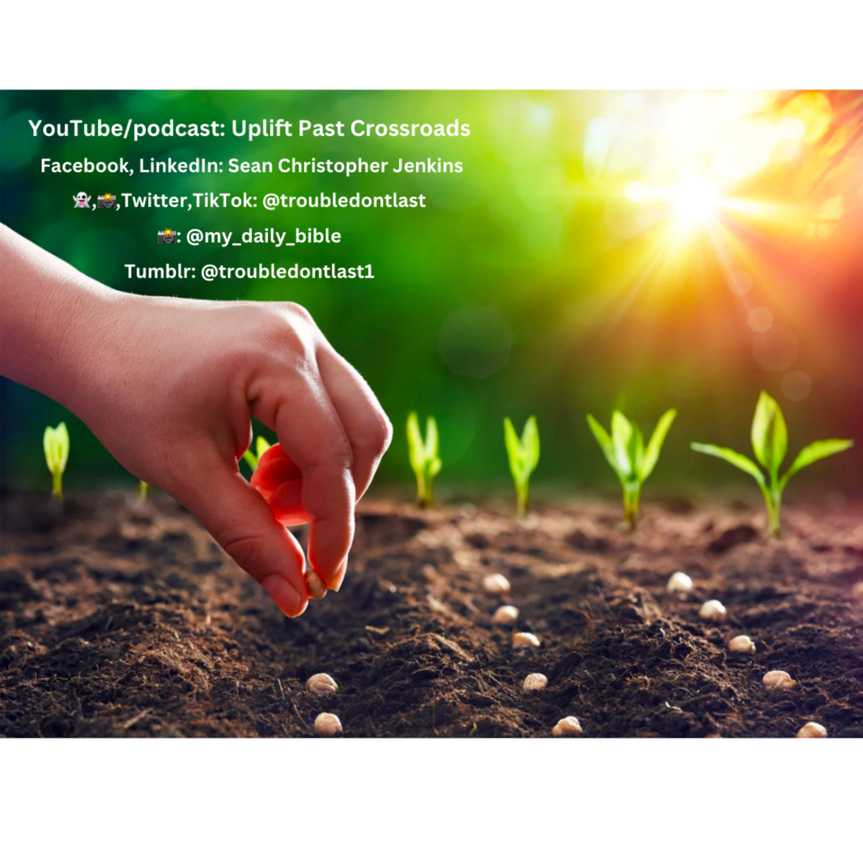 Planting Seeds Any And Everywhere (Ecclesiastes 11:1-2) | Life Verses episode artwork