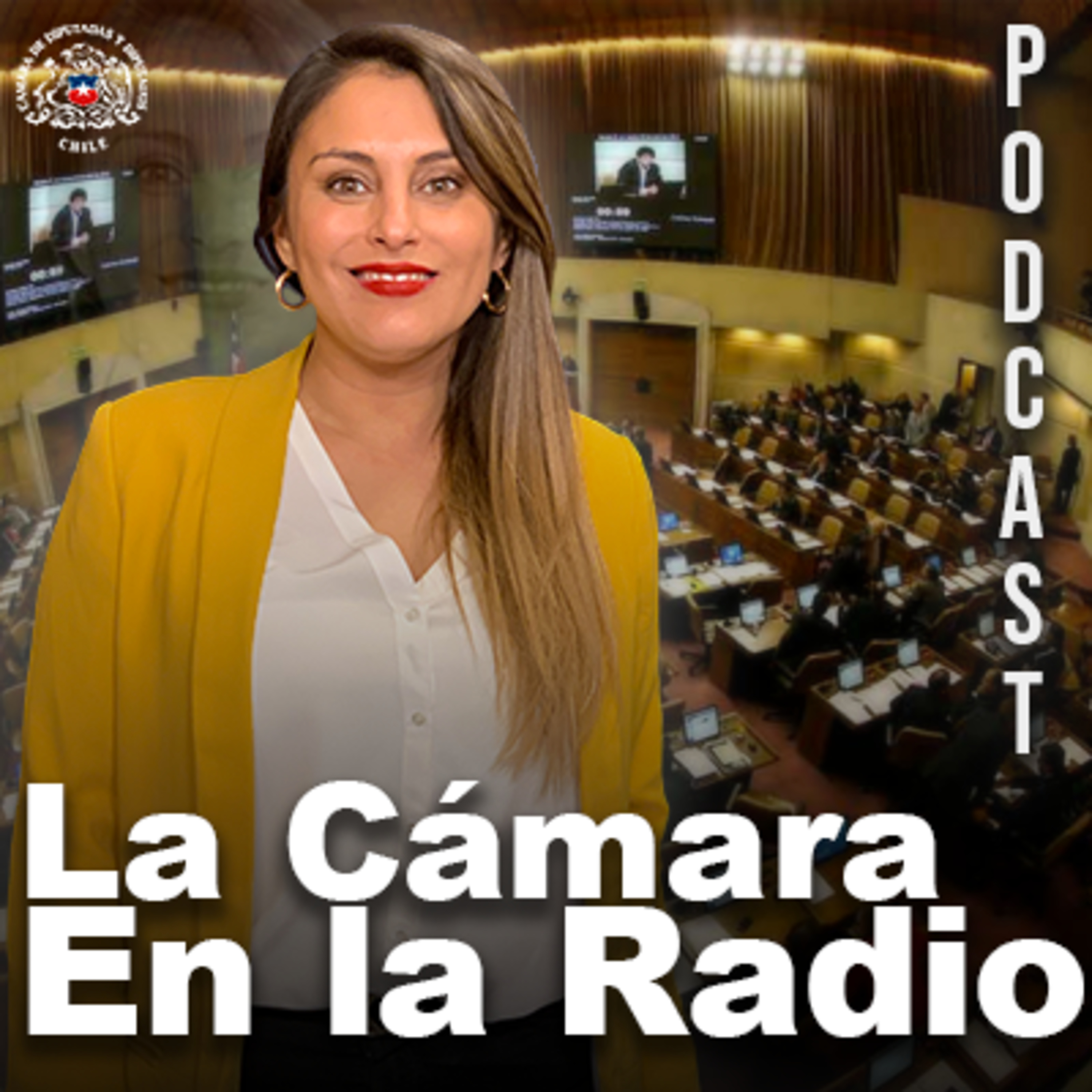 La Cámara en la Radio, El Podcast - Edición 3 - Semana del 01 de Julio de 2024 episode artwork