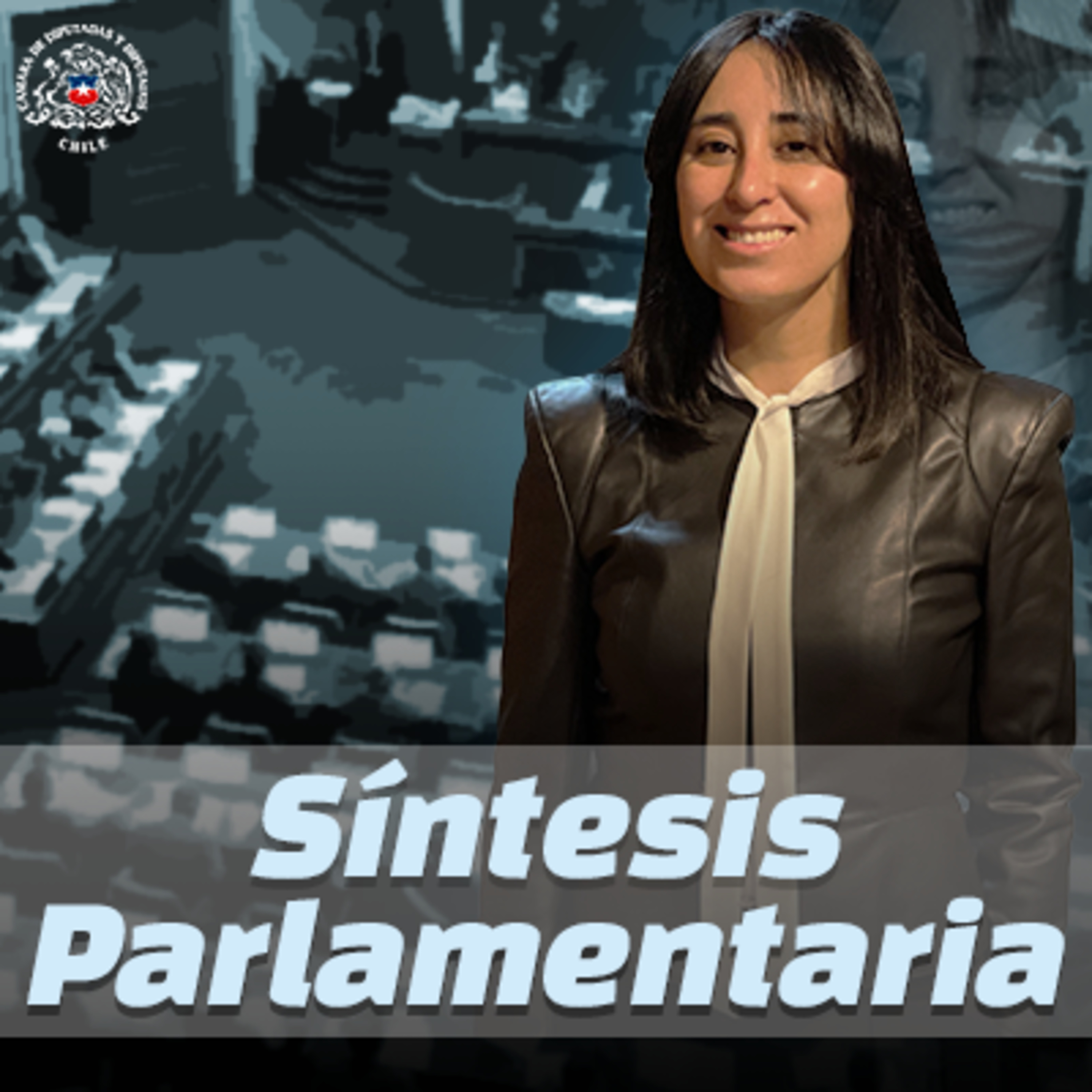 Síntesis Parlamentaria - Resumen de Junio de 2026  episode artwork