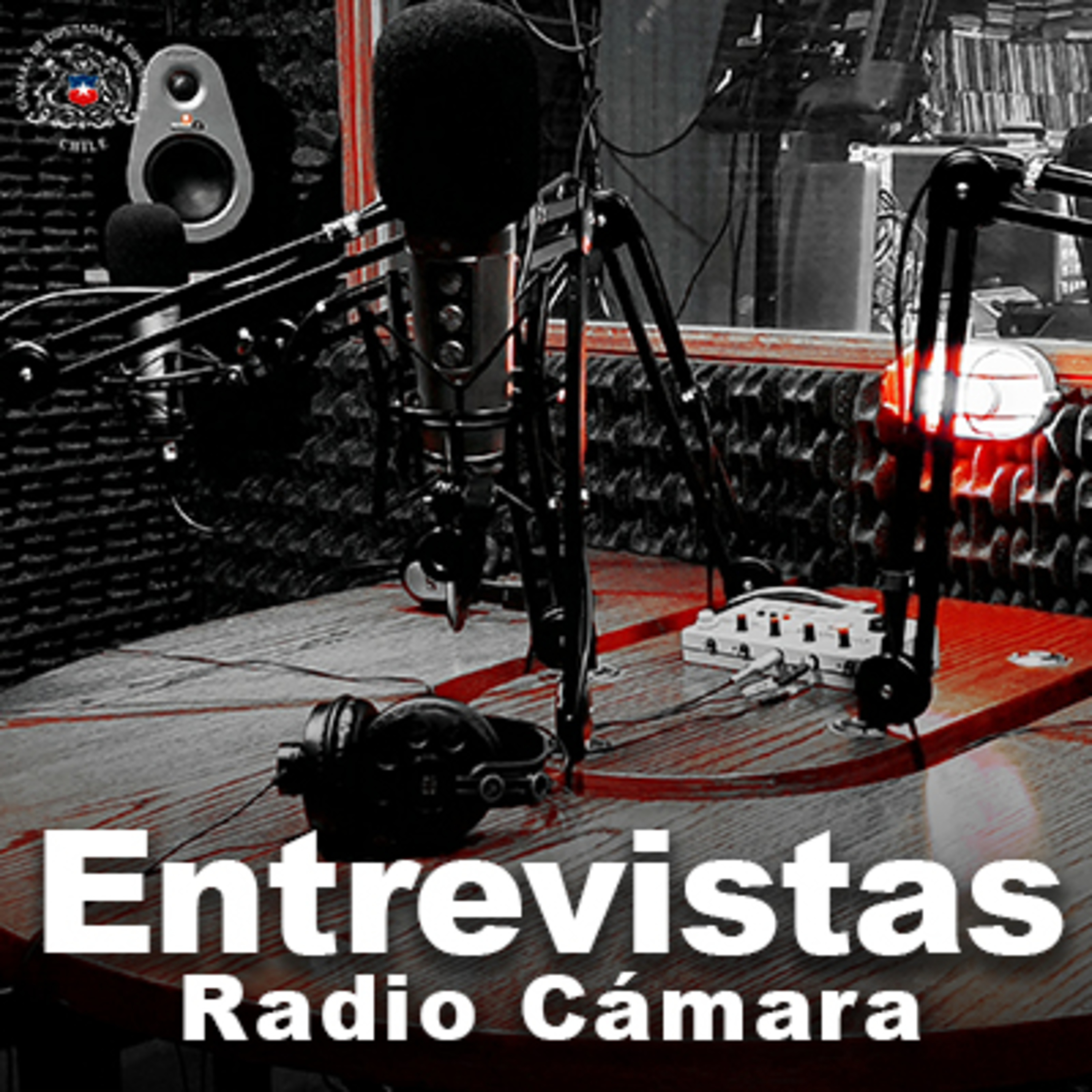 Entrevista: Diputado Daniel Bustos  episode artwork