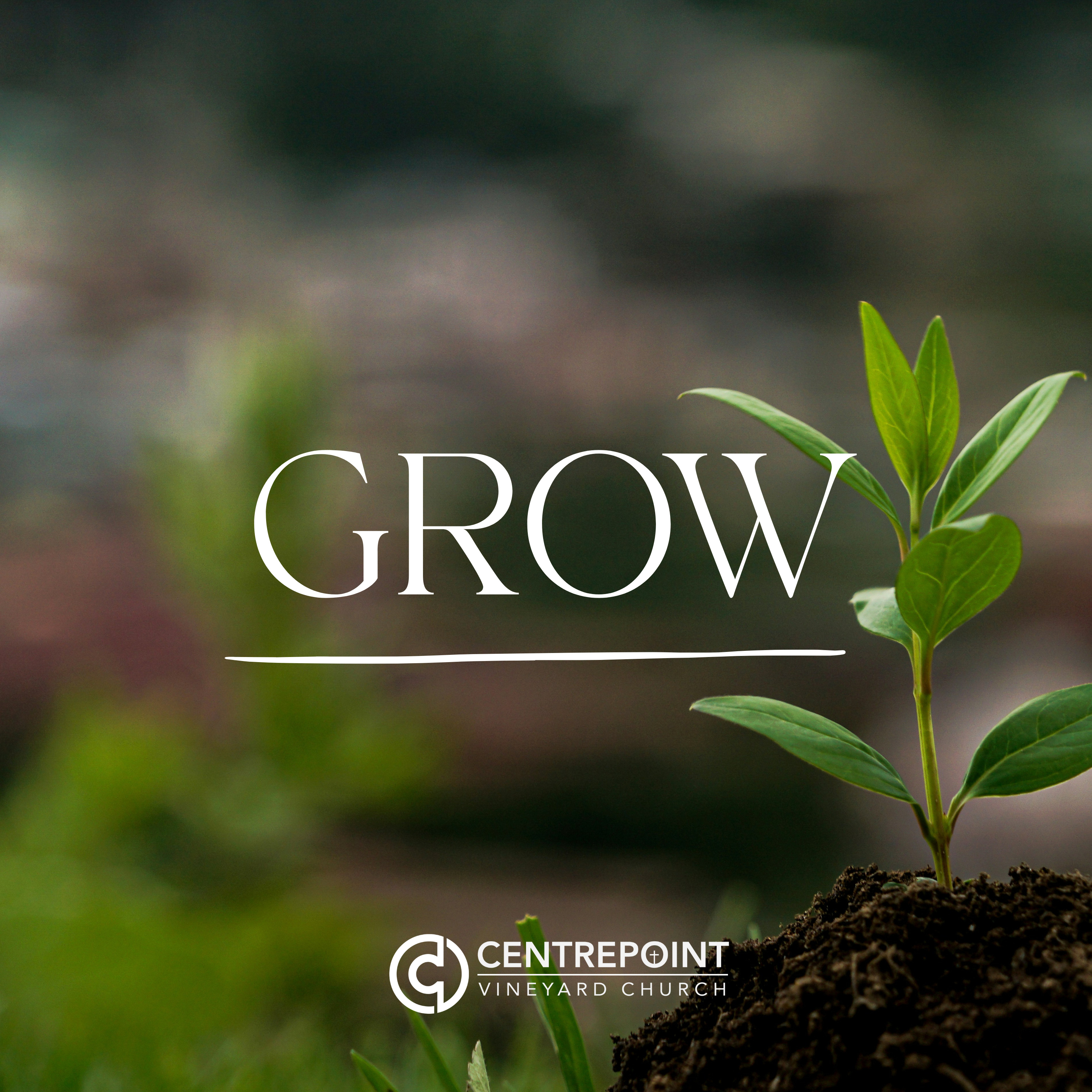 22 Feb 2026 - GROW: Build (Jonathan Ives)