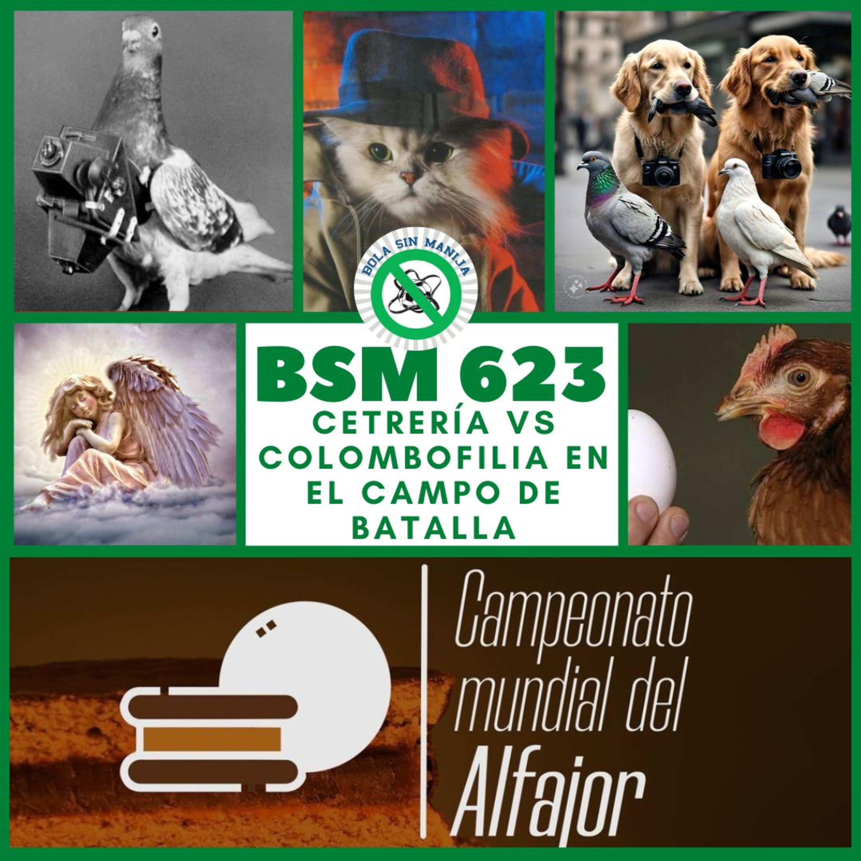 623 - Cetrería vs colombofilia en el campo de batalla episode artwork