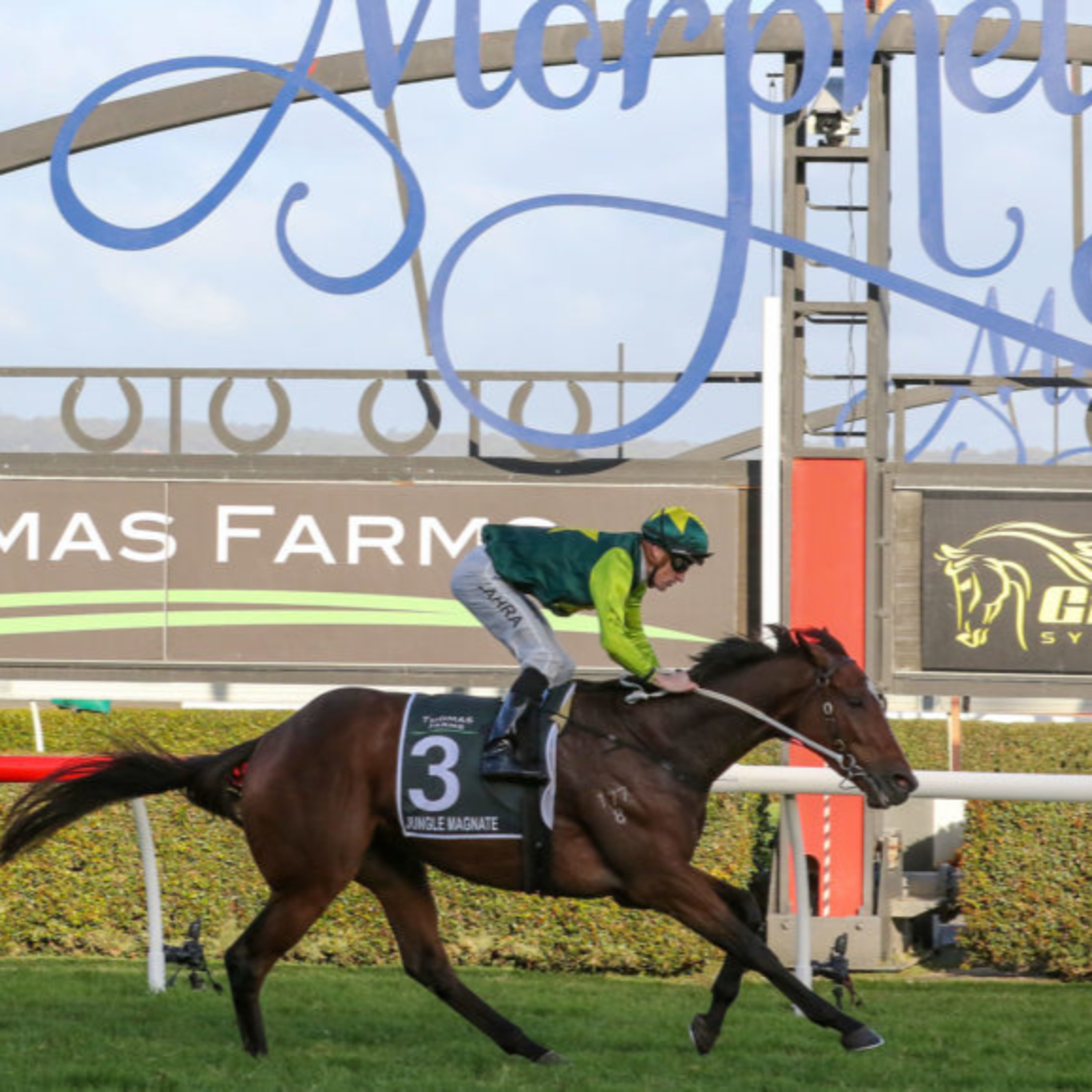 Ep 64- SA Derby and Doomben 10,000 preview episode artwork