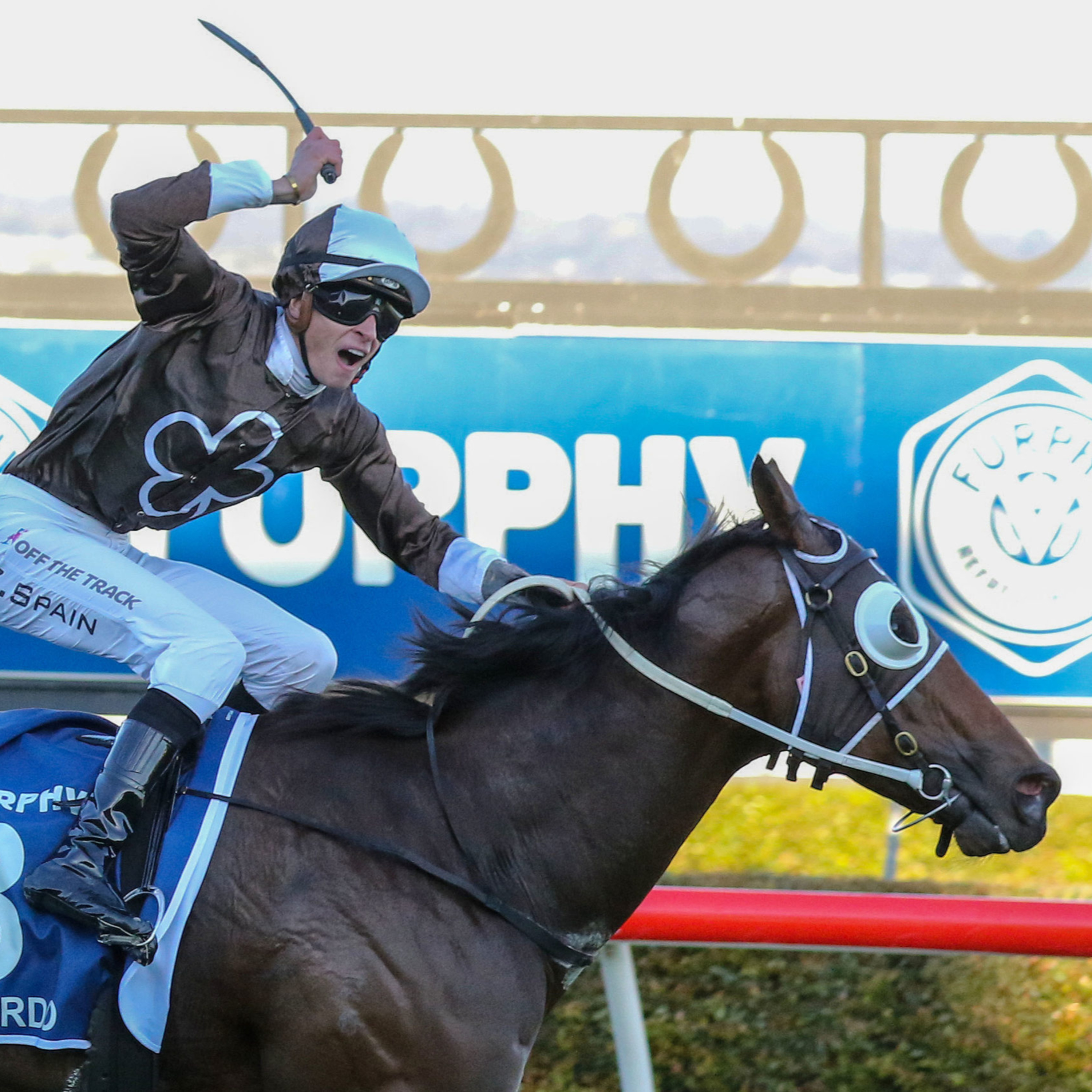 Ep 65- Doomben Cup and The Goodwood preview episode artwork