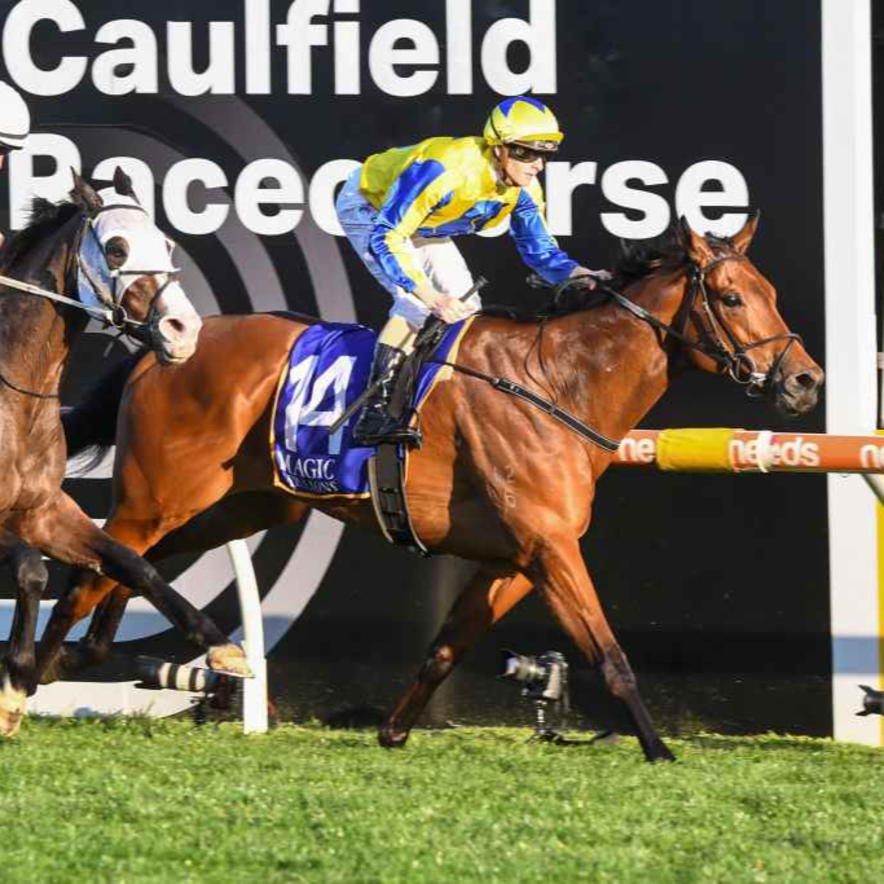 Ep 70- Memsie stakes and Tattersalls cup preview episode artwork