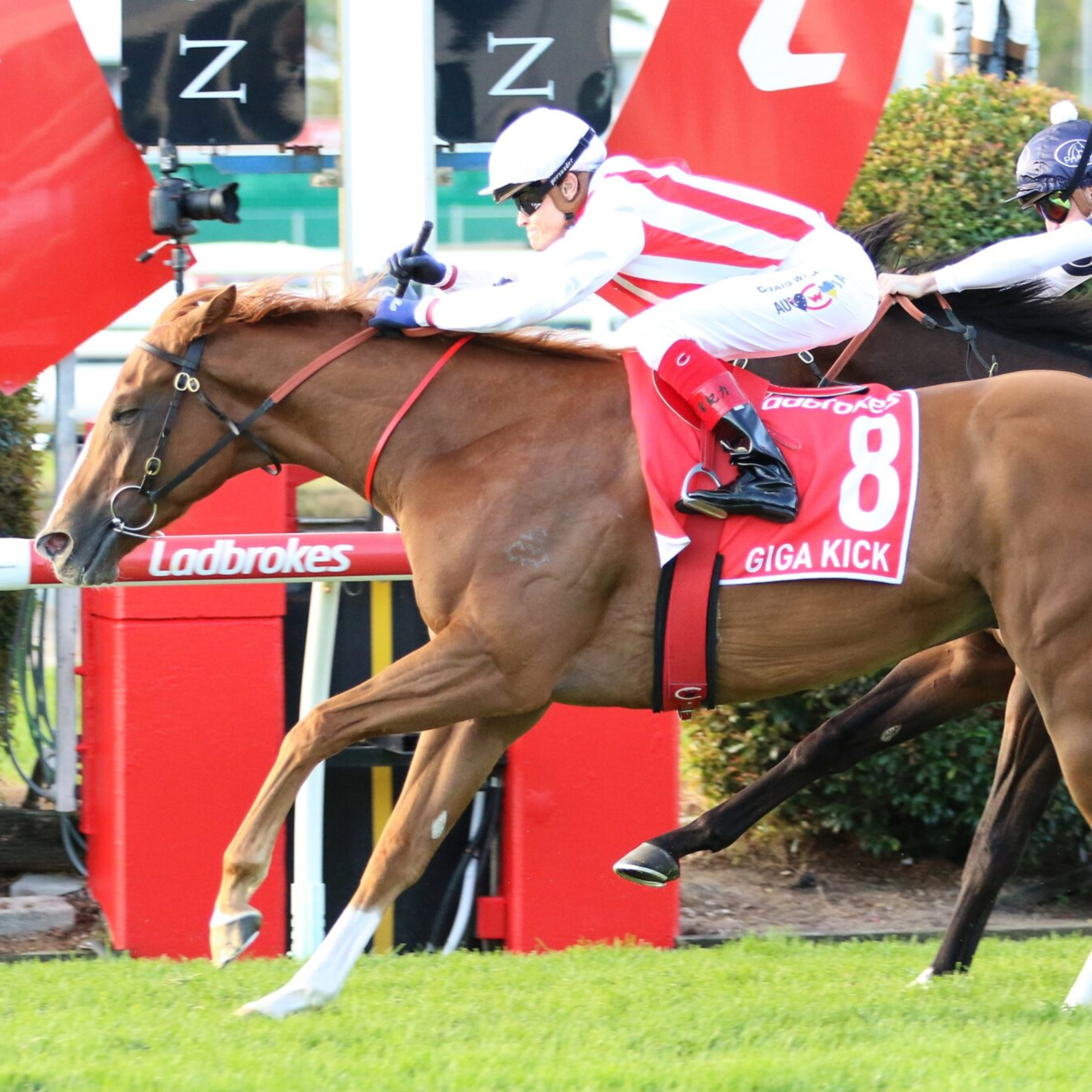 Ep 71- 9/9/23 Moonee Valley and Rosehill preview episode artwork
