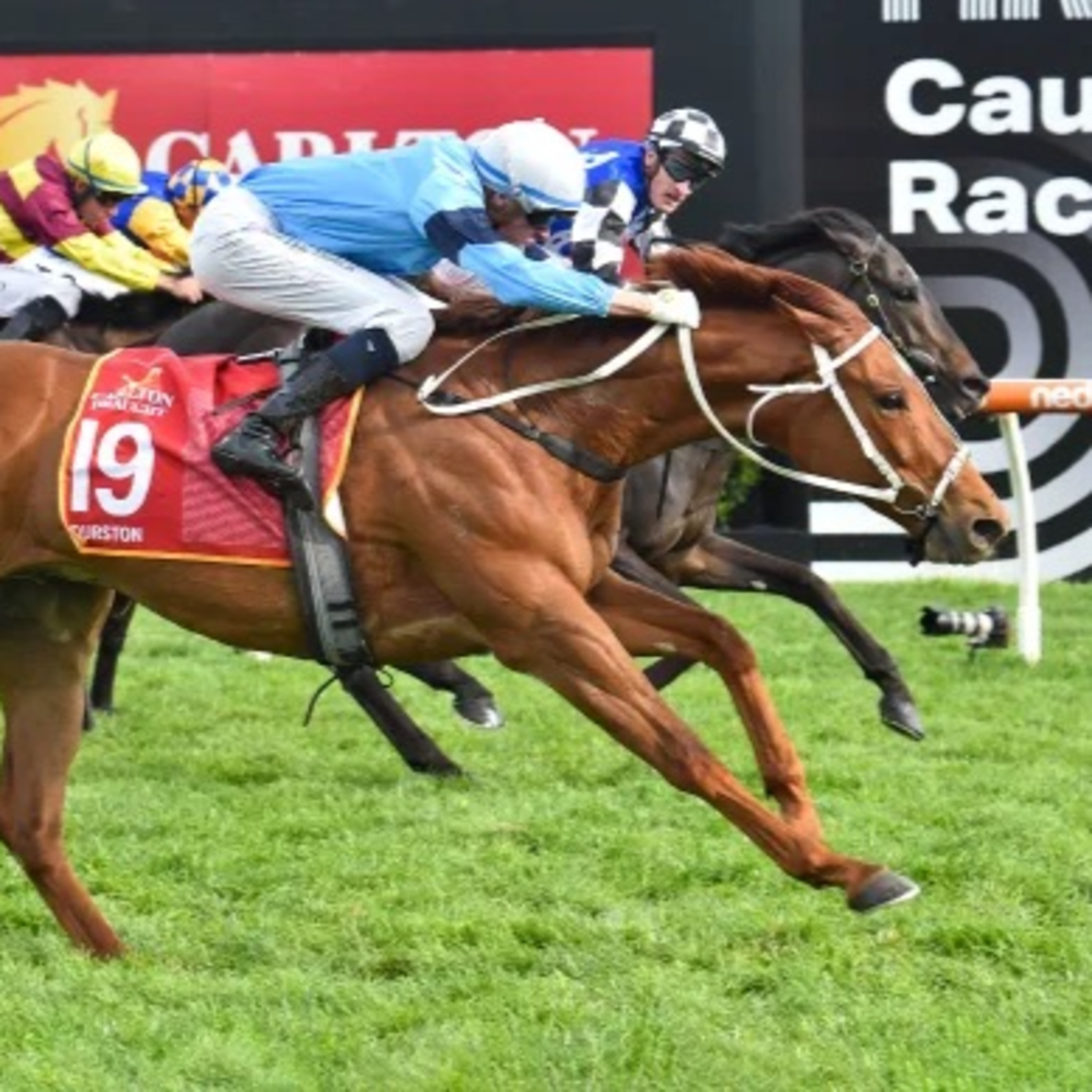 Ep 76- Caulfield Cup preview episode artwork