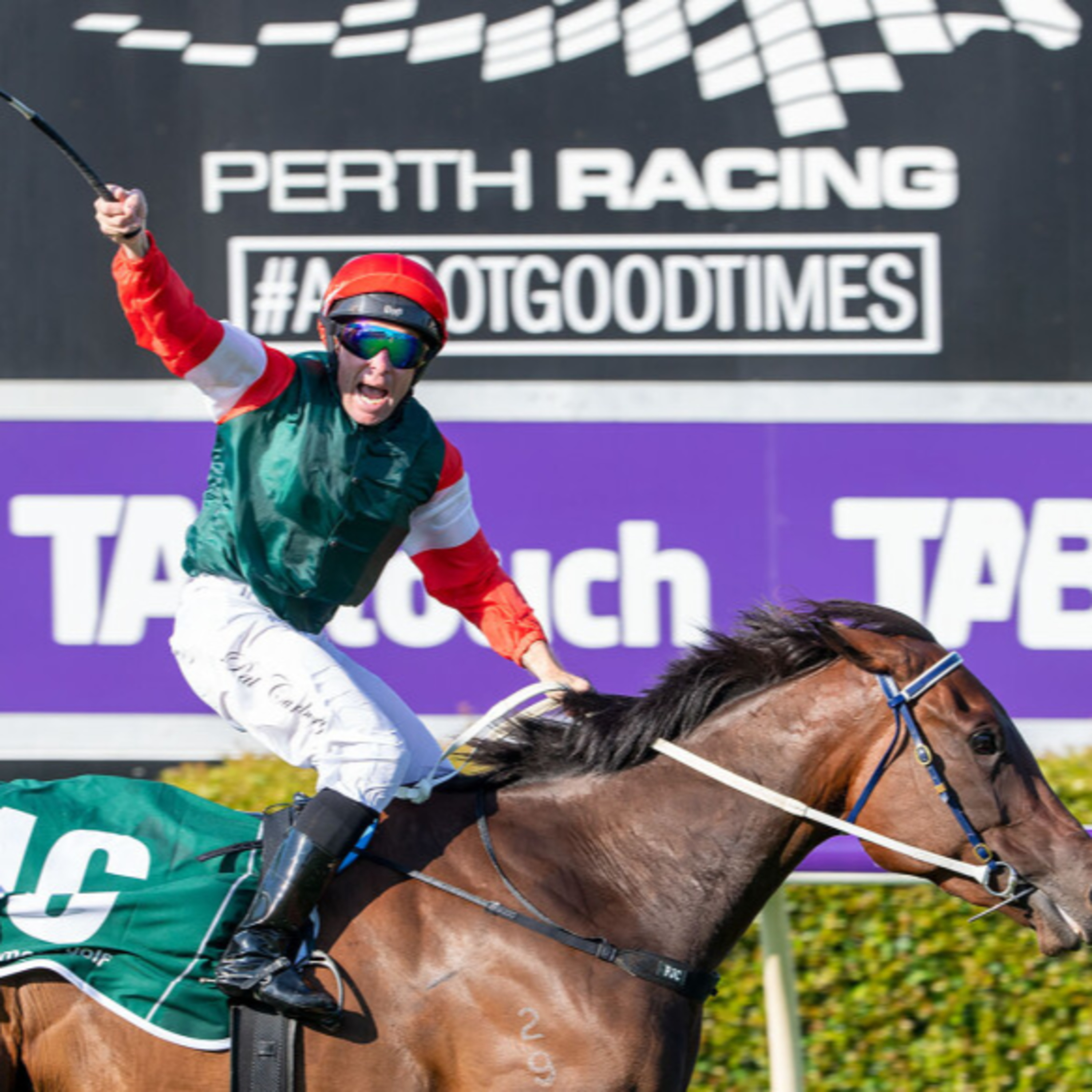 Ep 82- Northerly Stakes Day + Ingham feature episode artwork
