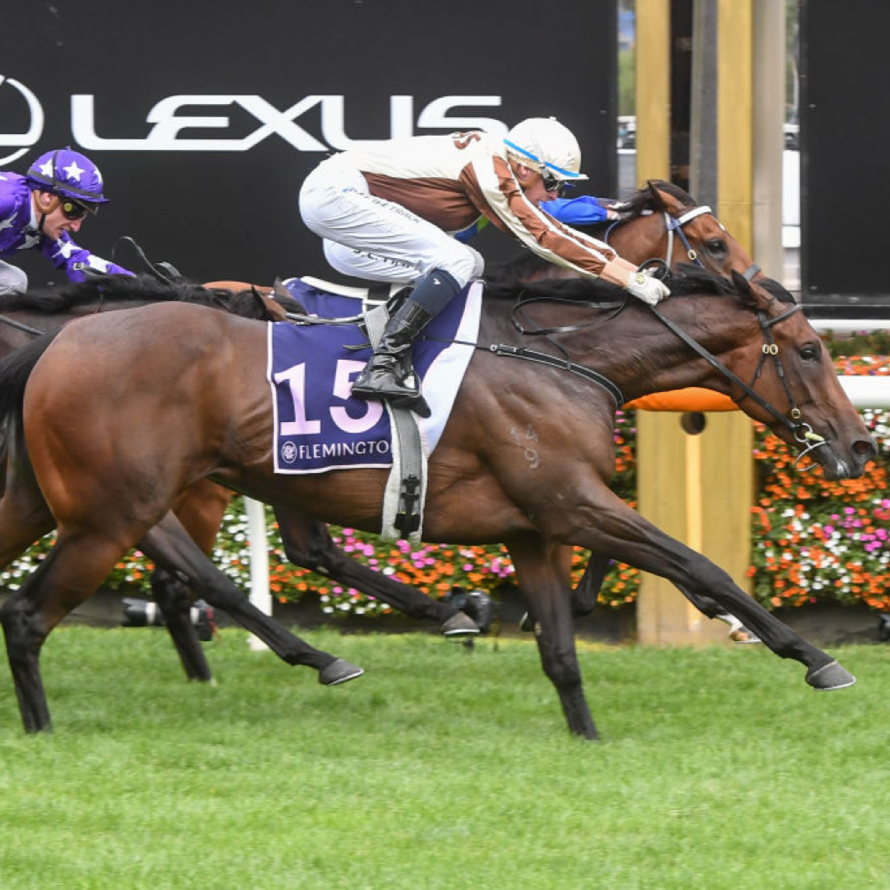 Ep 87- Australian Guineas and VE Stakes day preview