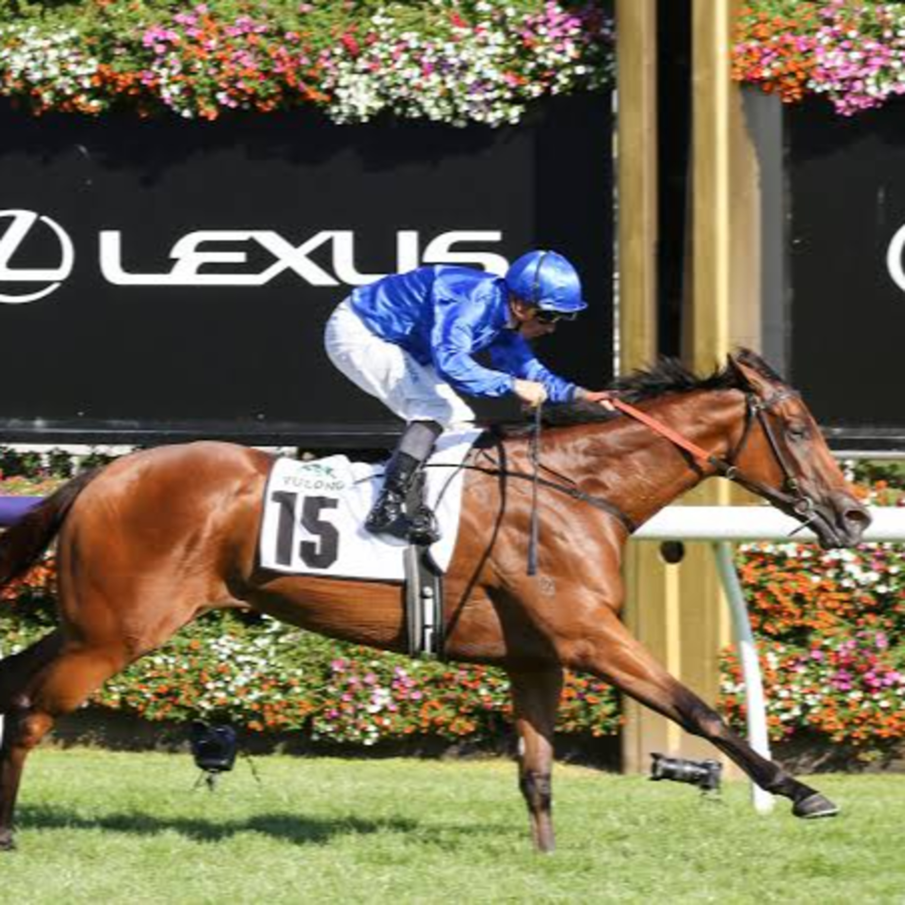 Ep 88- Newmarket Handicap and Randwick Guineas preview episode artwork