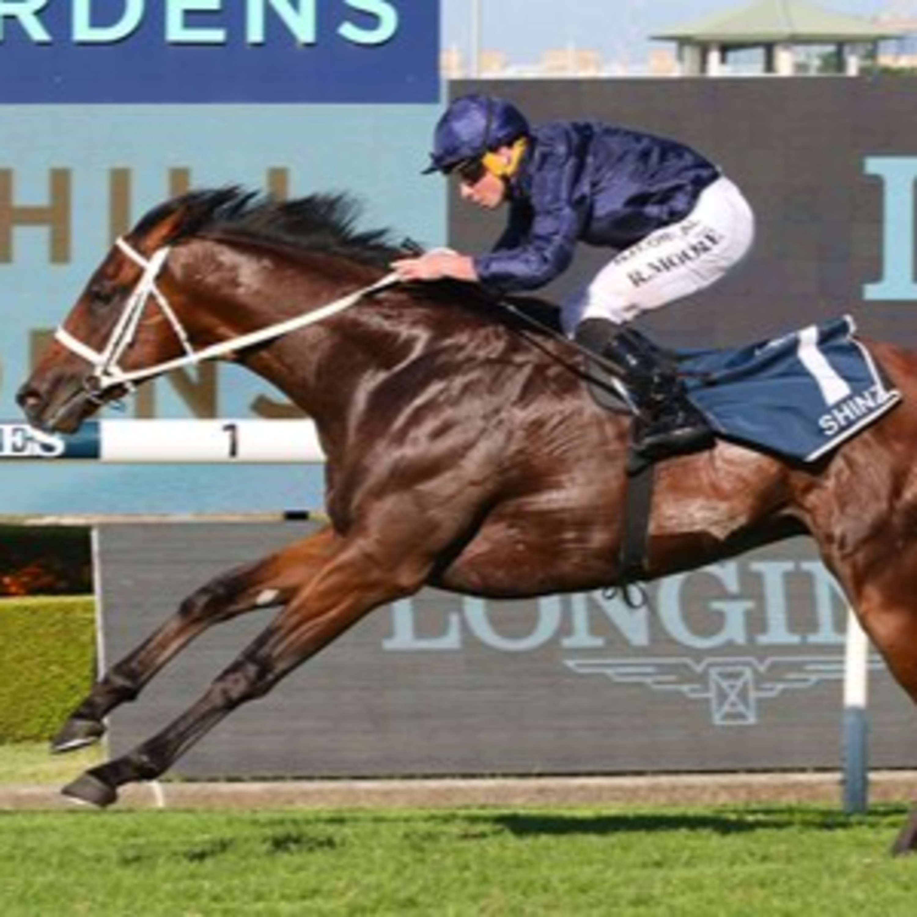 Ep 89- Golden Slipper and William Reid Day preview episode artwork