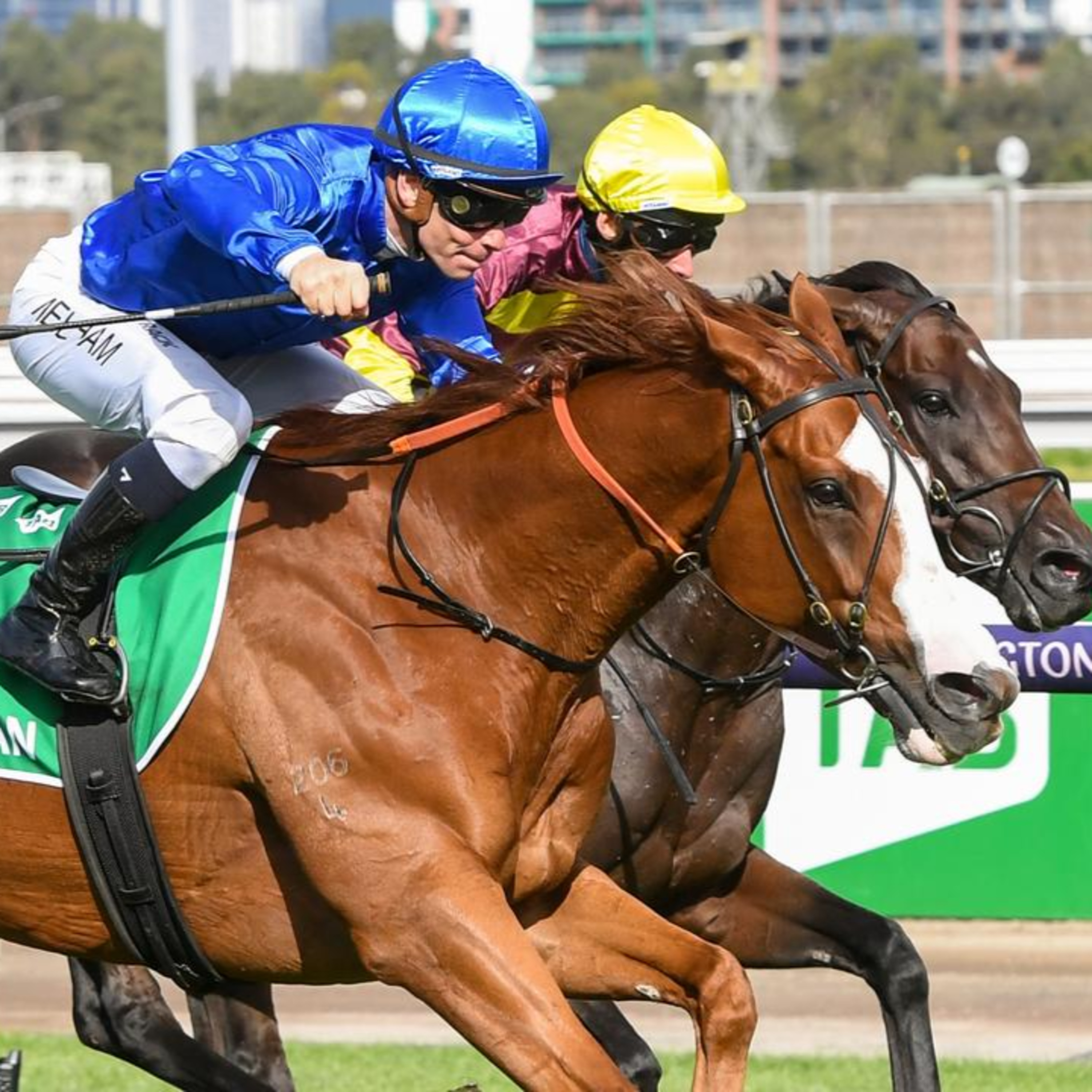 Ep 90- Australian Cup and Tancred Stakes day preview episode artwork