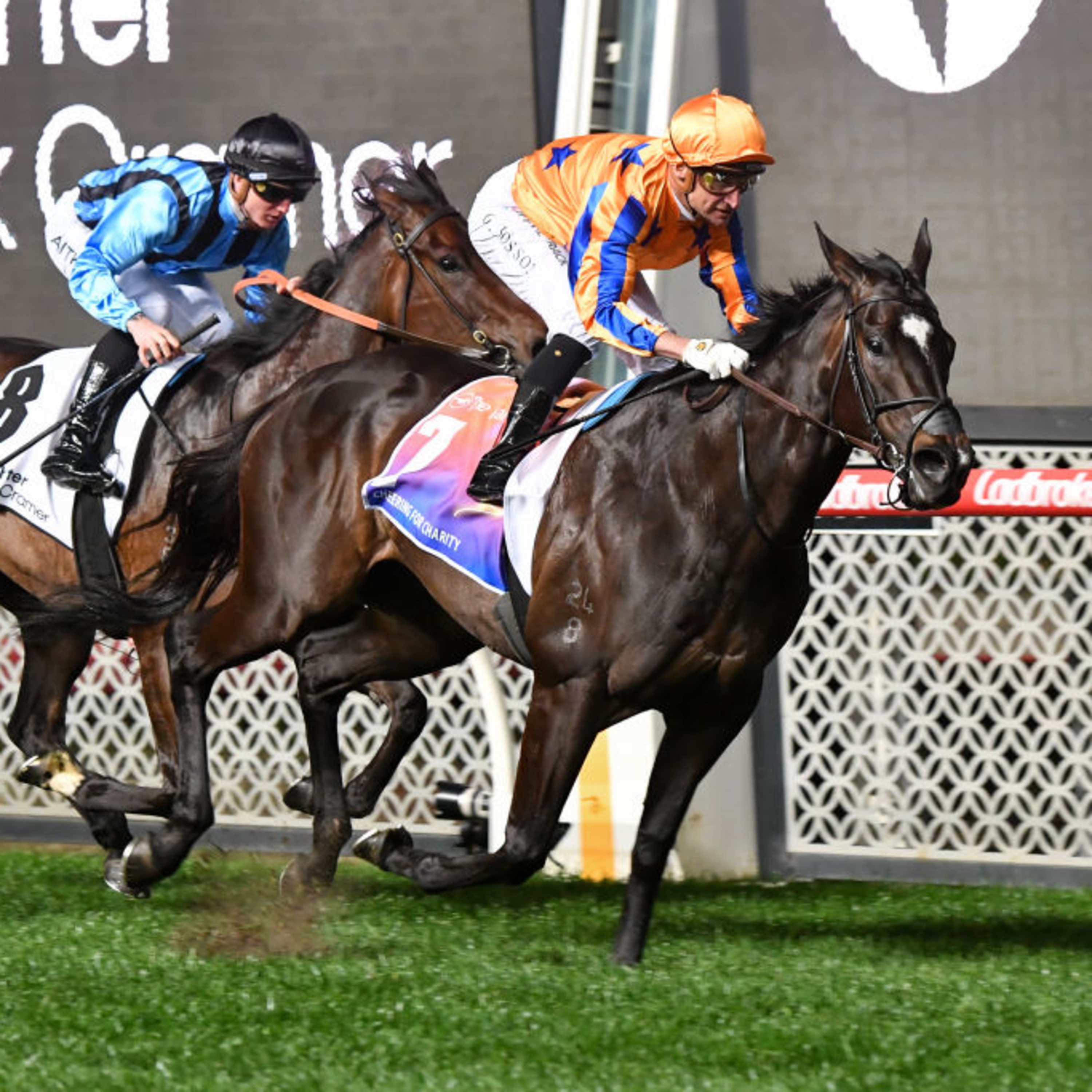 EP 97 - Moir Stakes Day Preview episode artwork