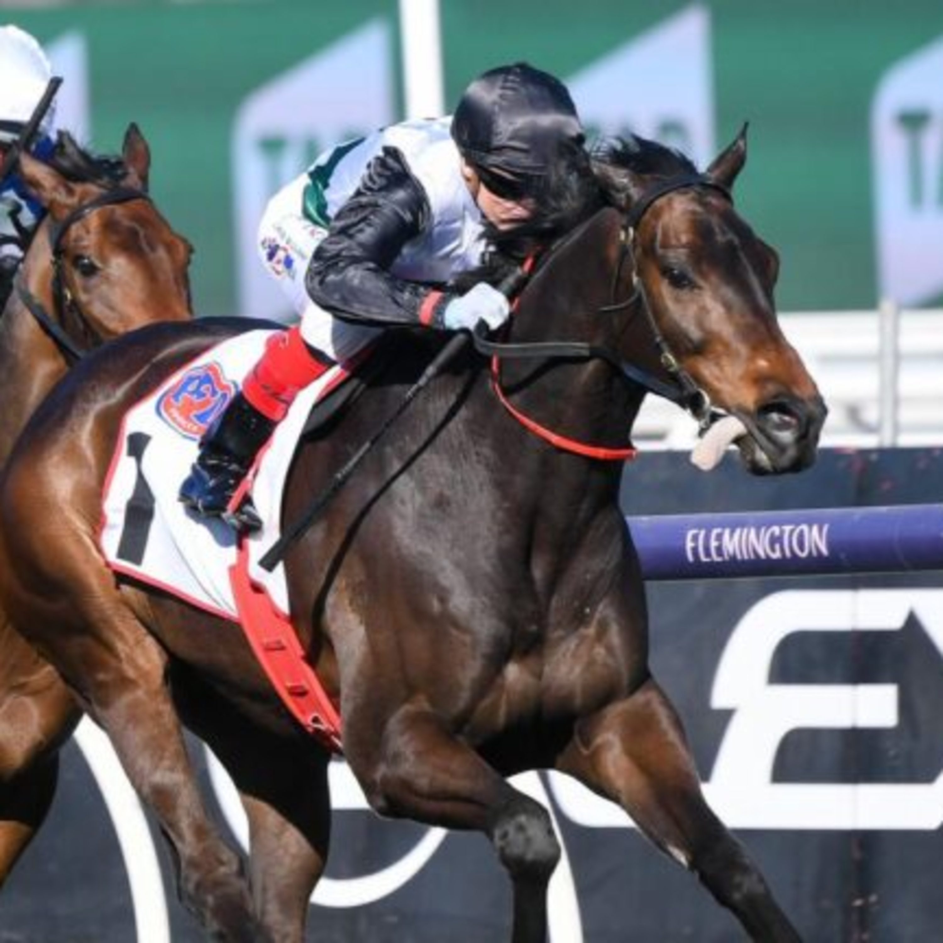 EP 98 - Makybe Diva Stakes Day Preview episode artwork