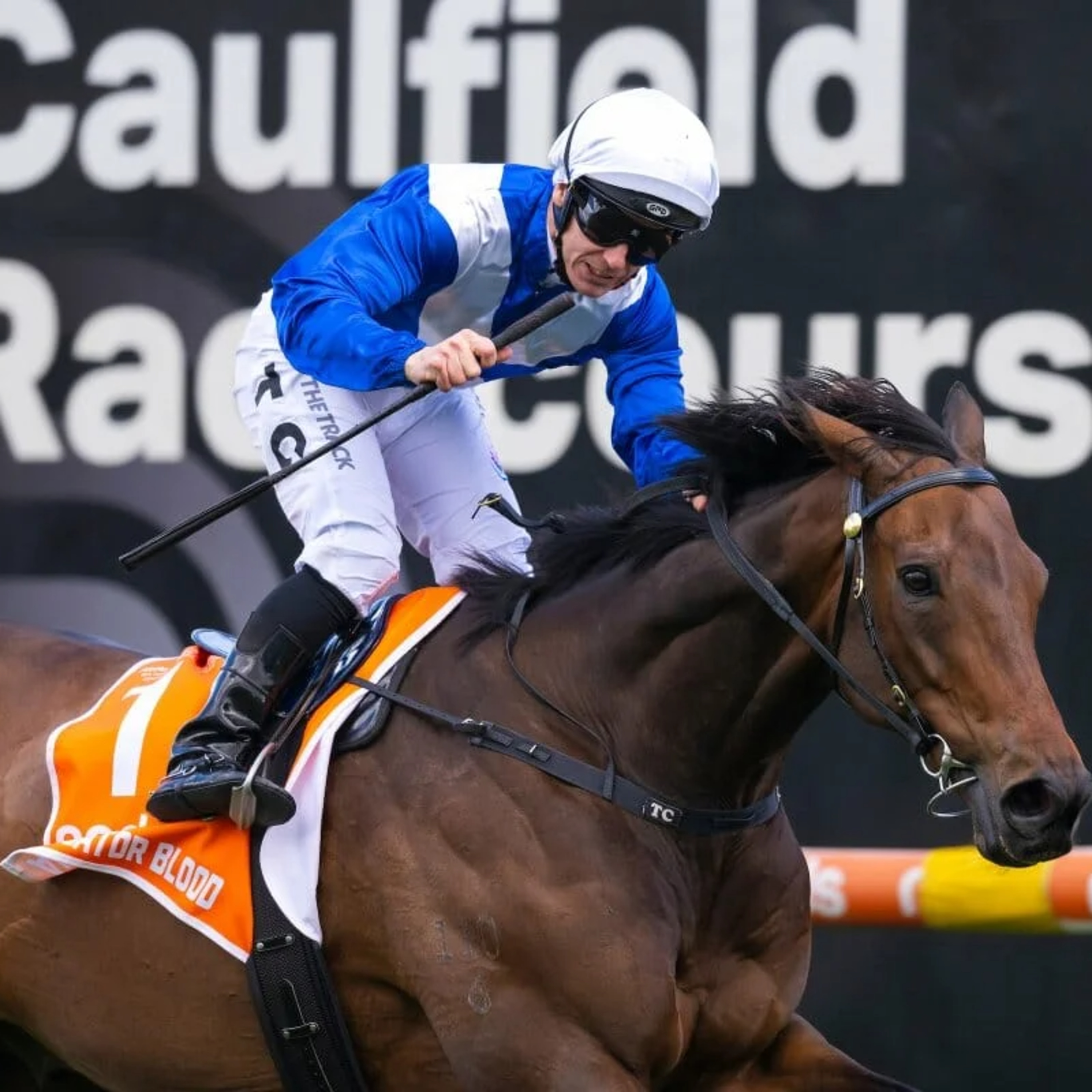 EP 102 - Caulfield Guineas and Hill Stakes Day episode artwork