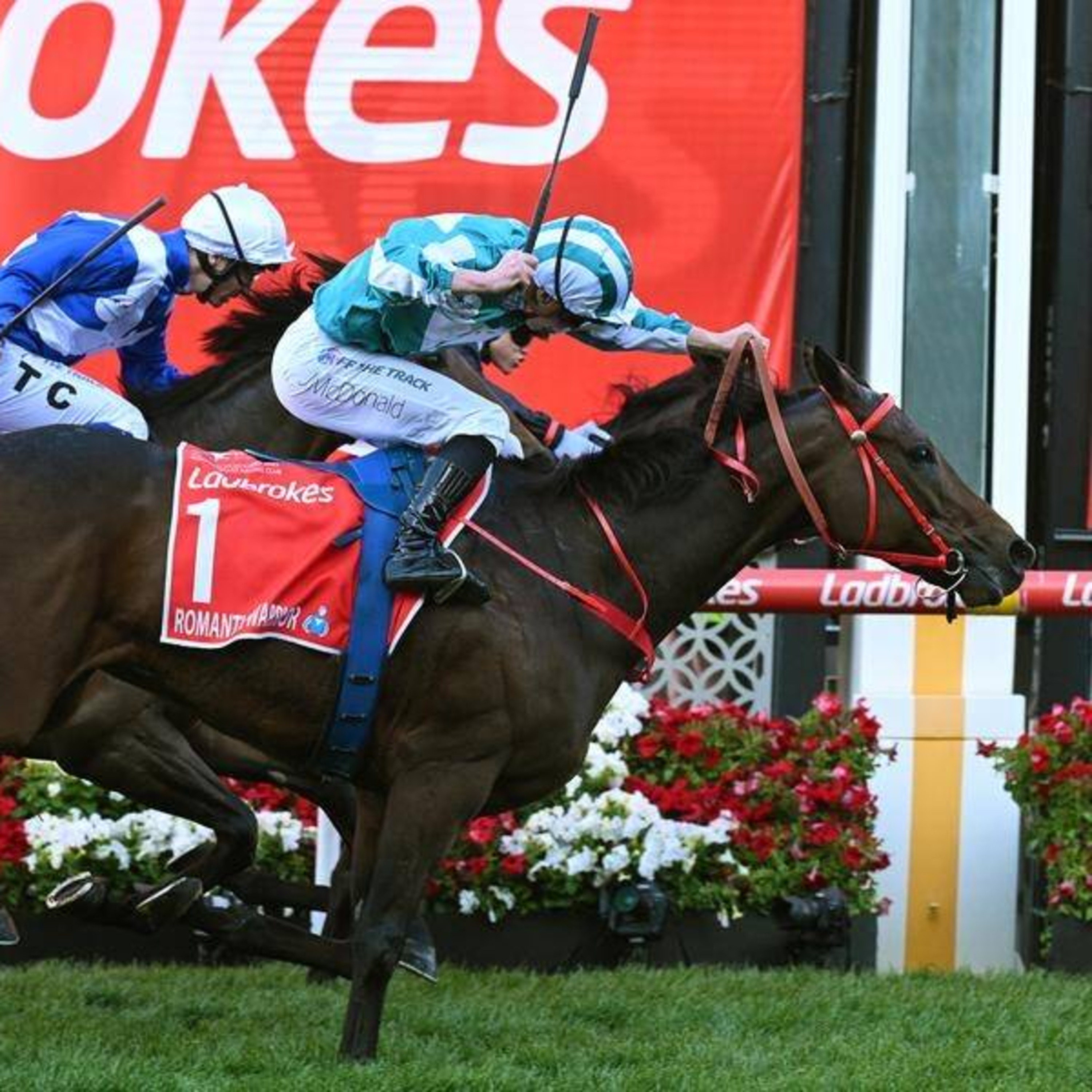 EP 104 - Cox Plate and Spring Champion preview episode artwork