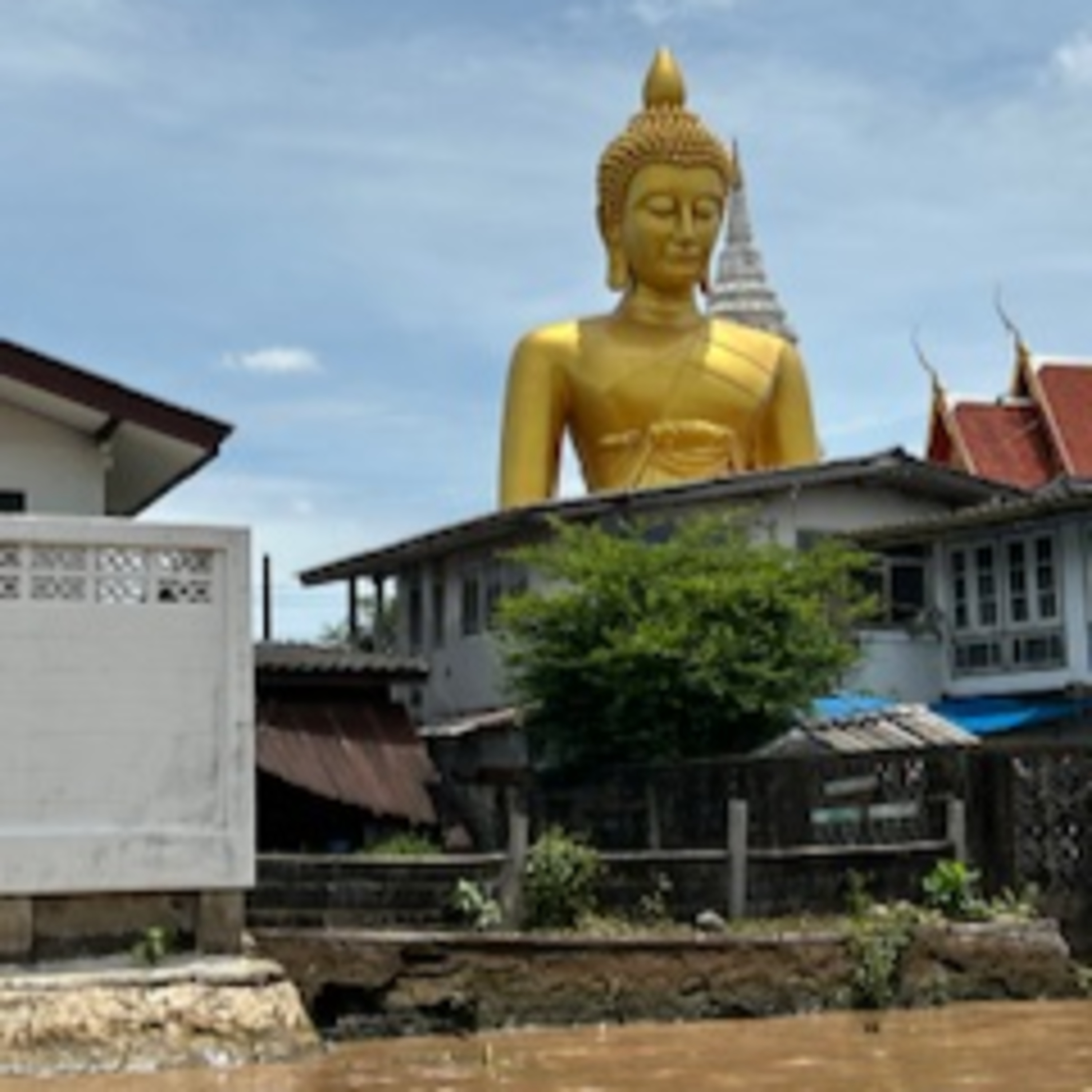 DZIKIE LEKTURY podcast