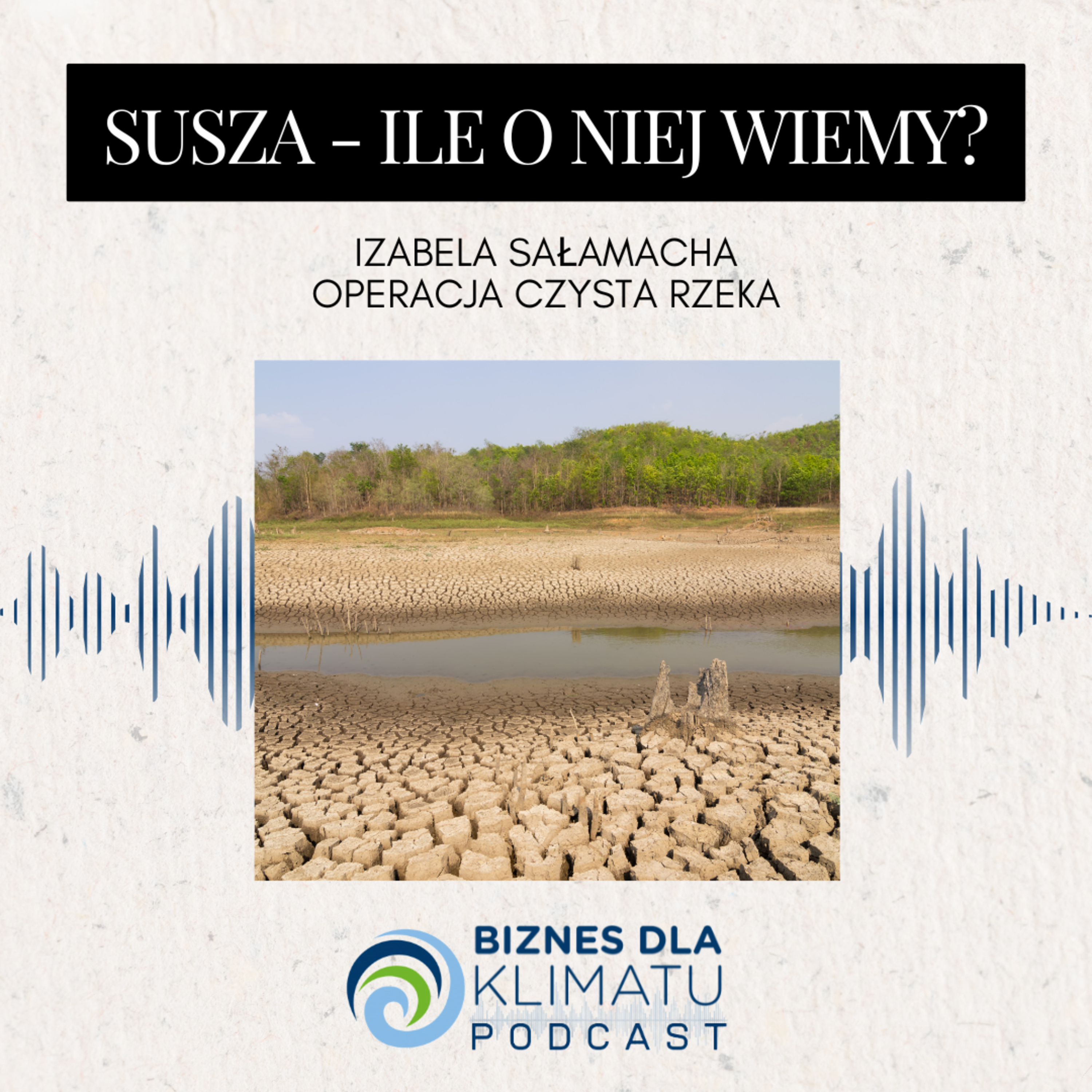 Biznes dla Klimatu