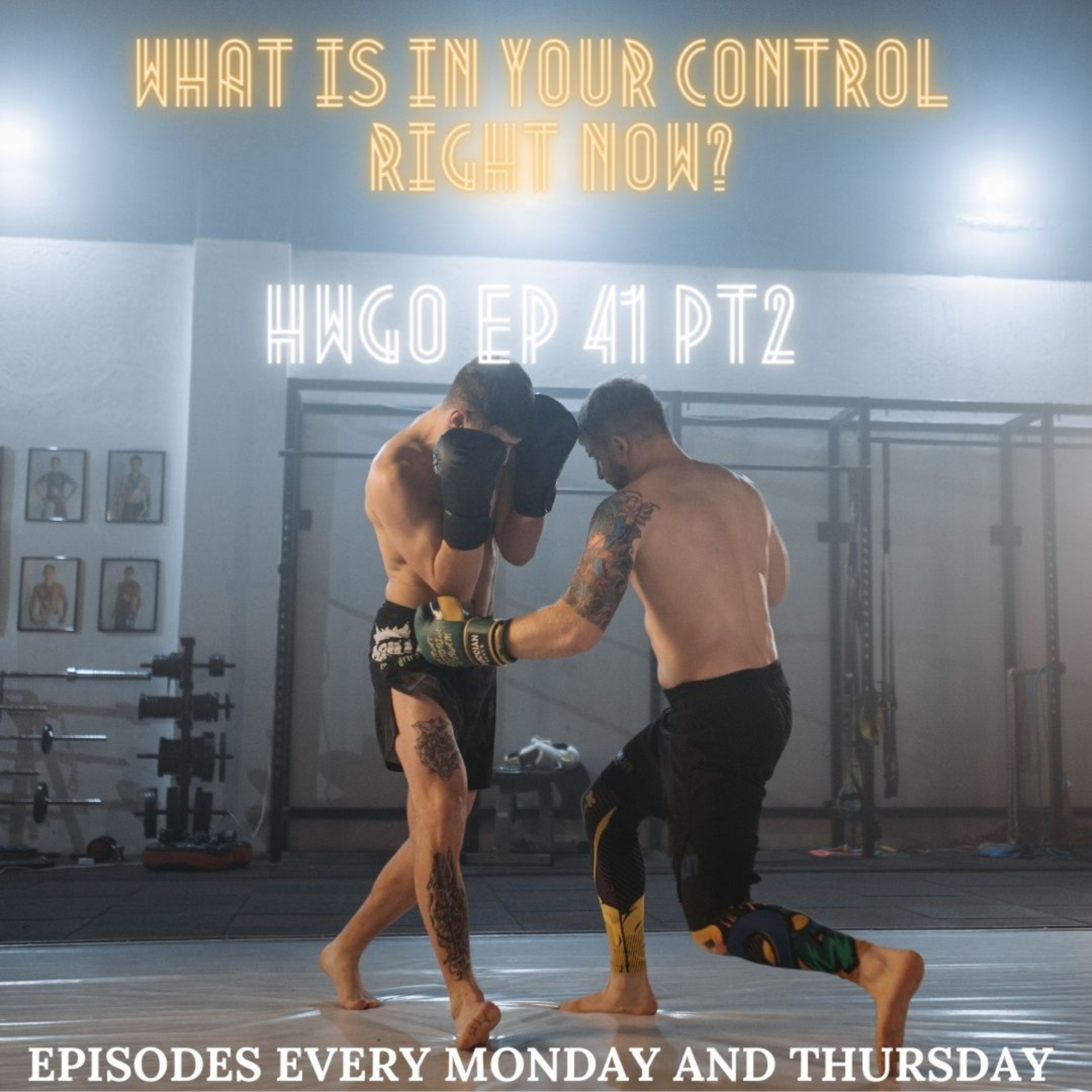 HWGO EP 41 PT 2 What is in Your Control Right Now w/ Bill episode artwork