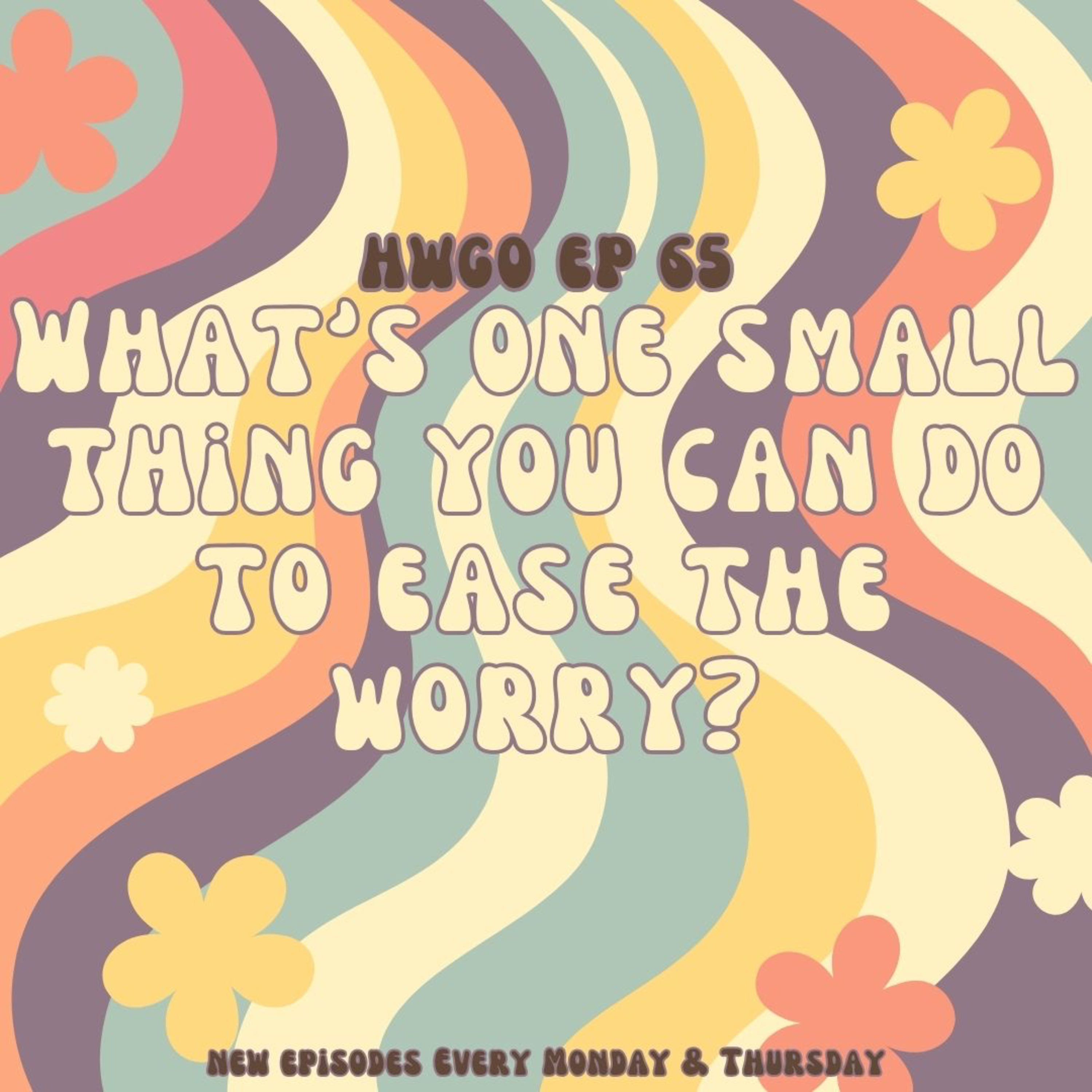 HWGO EP 65 What's one small thing you can do to ease the worry? episode artwork