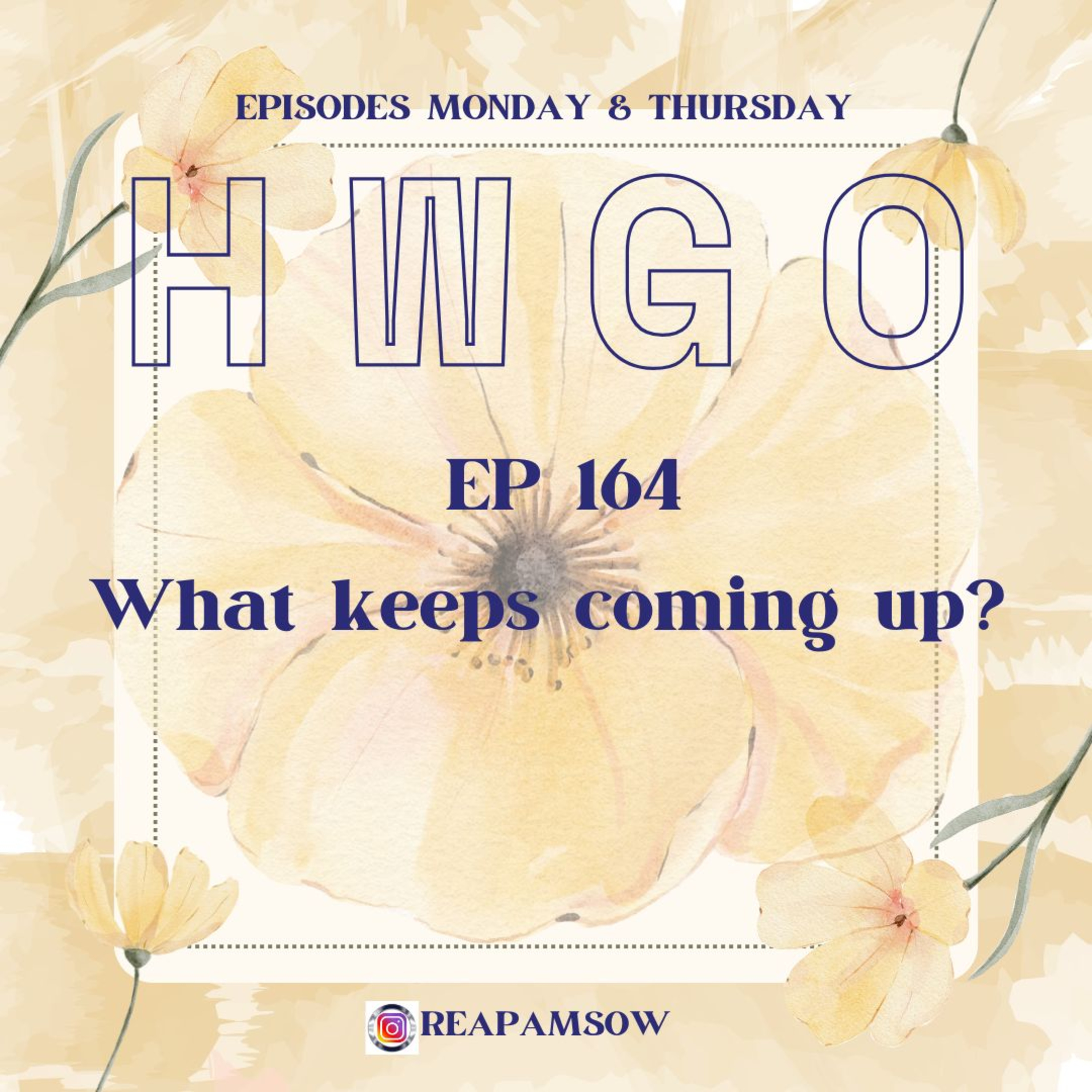 HWGO EP 164 What keeps coming up?  episode artwork