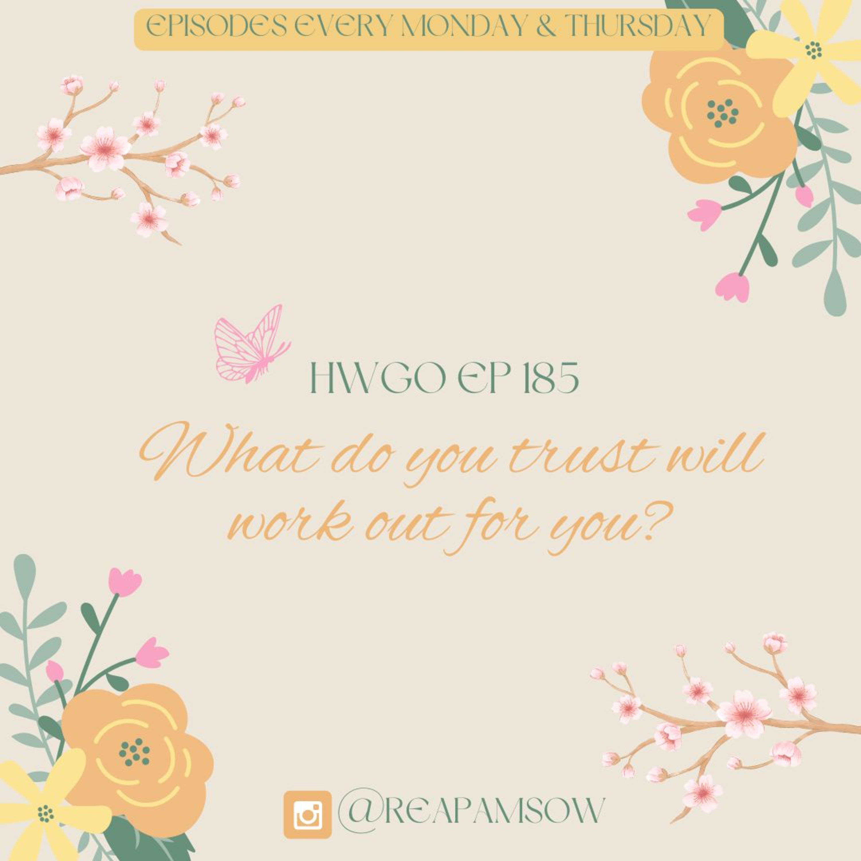 HWGO EP 185 What do you trust will work out for you? episode artwork